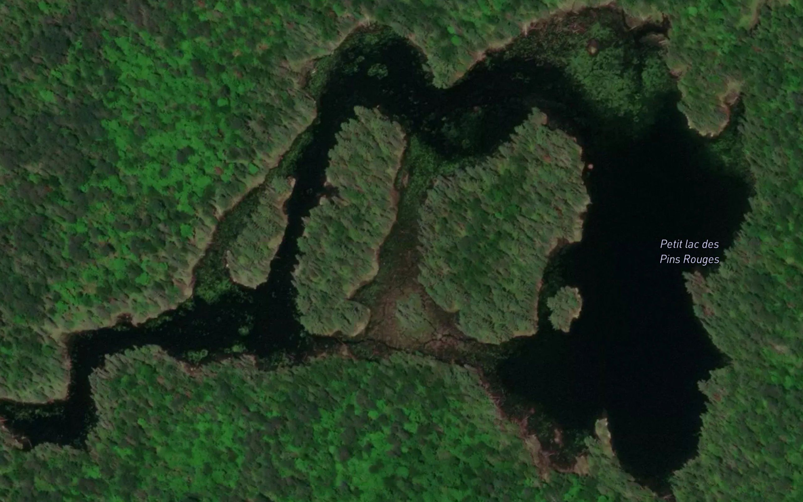 Petit lac des Pins Rouges