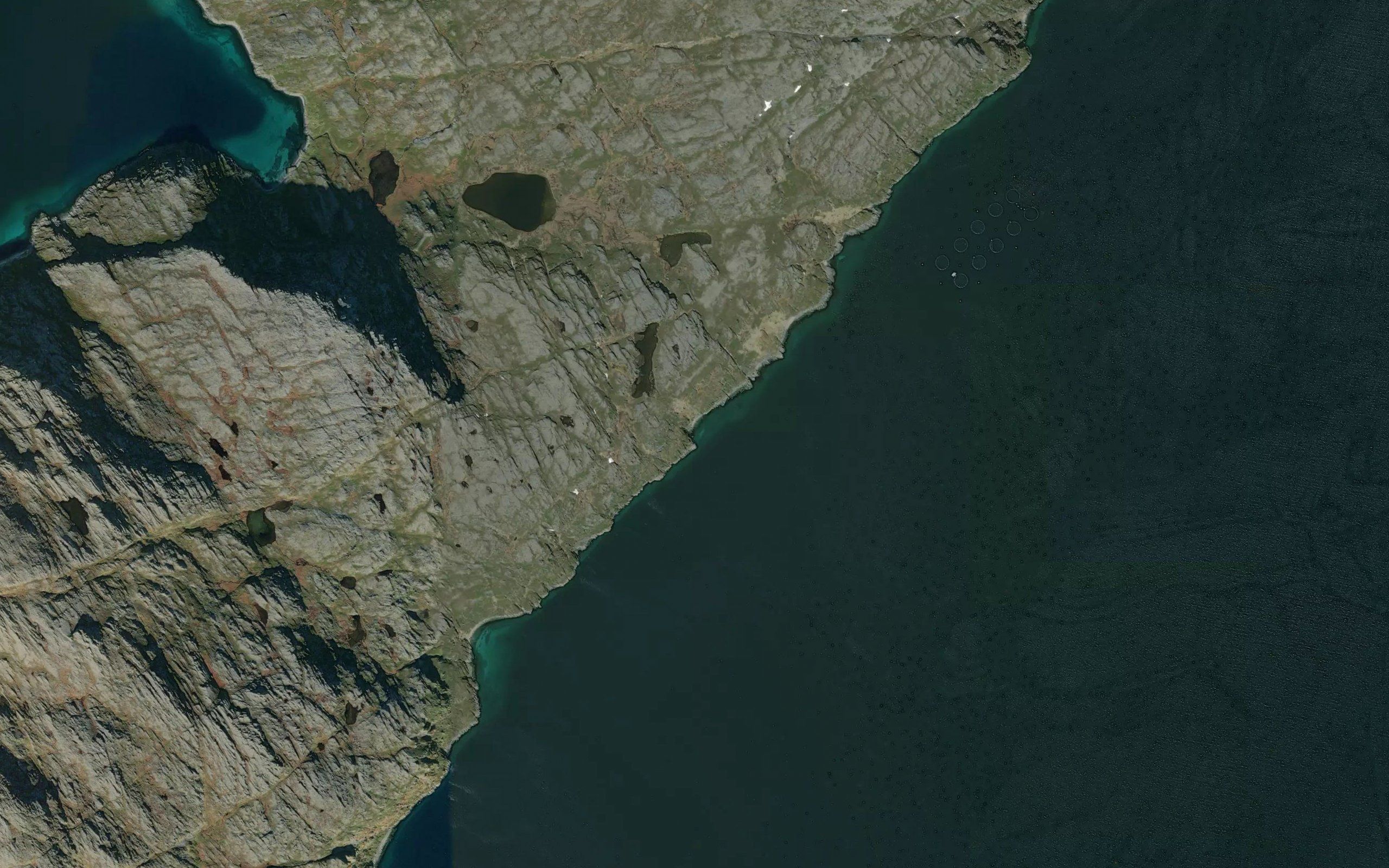Notbukta