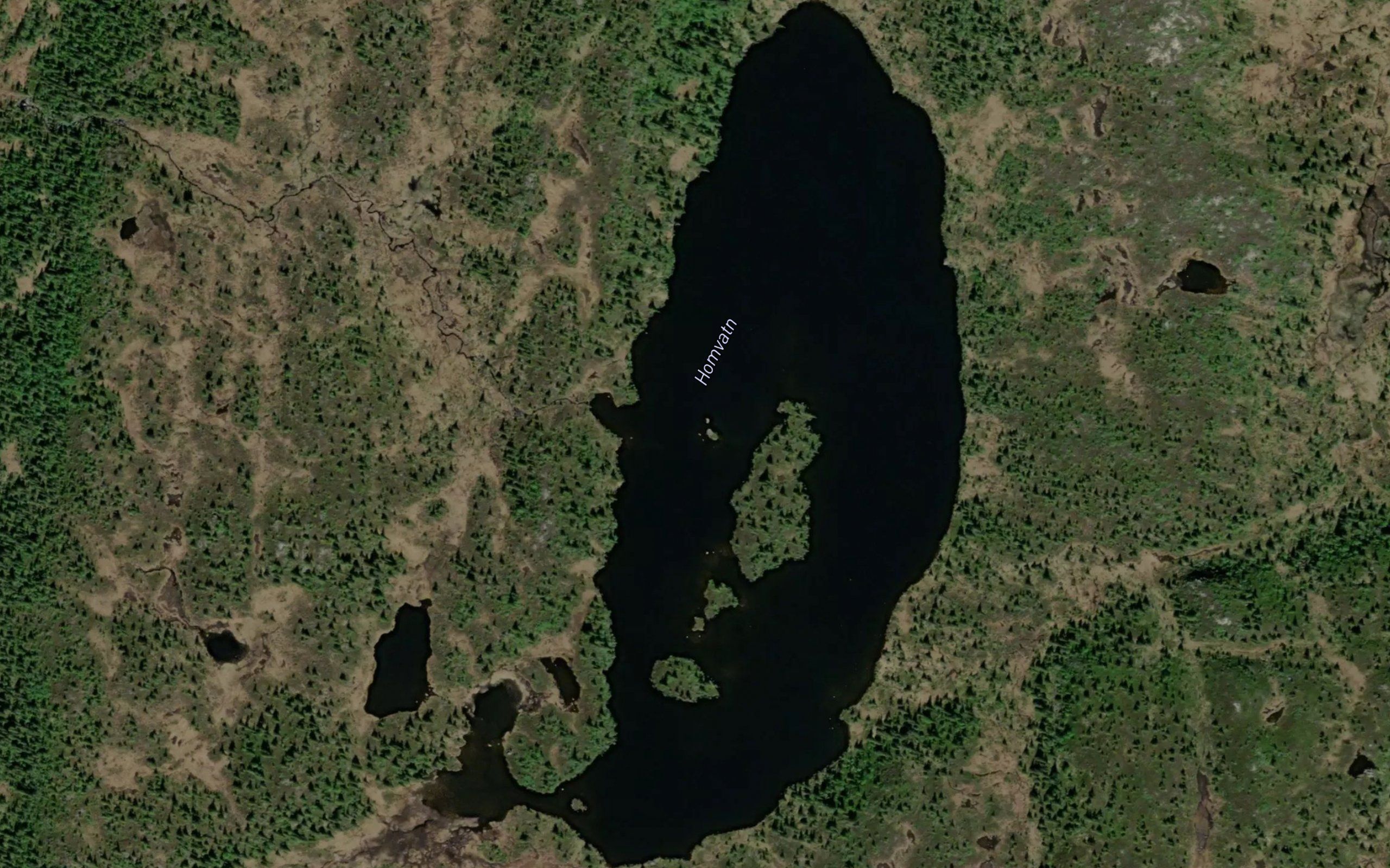 Homvatn