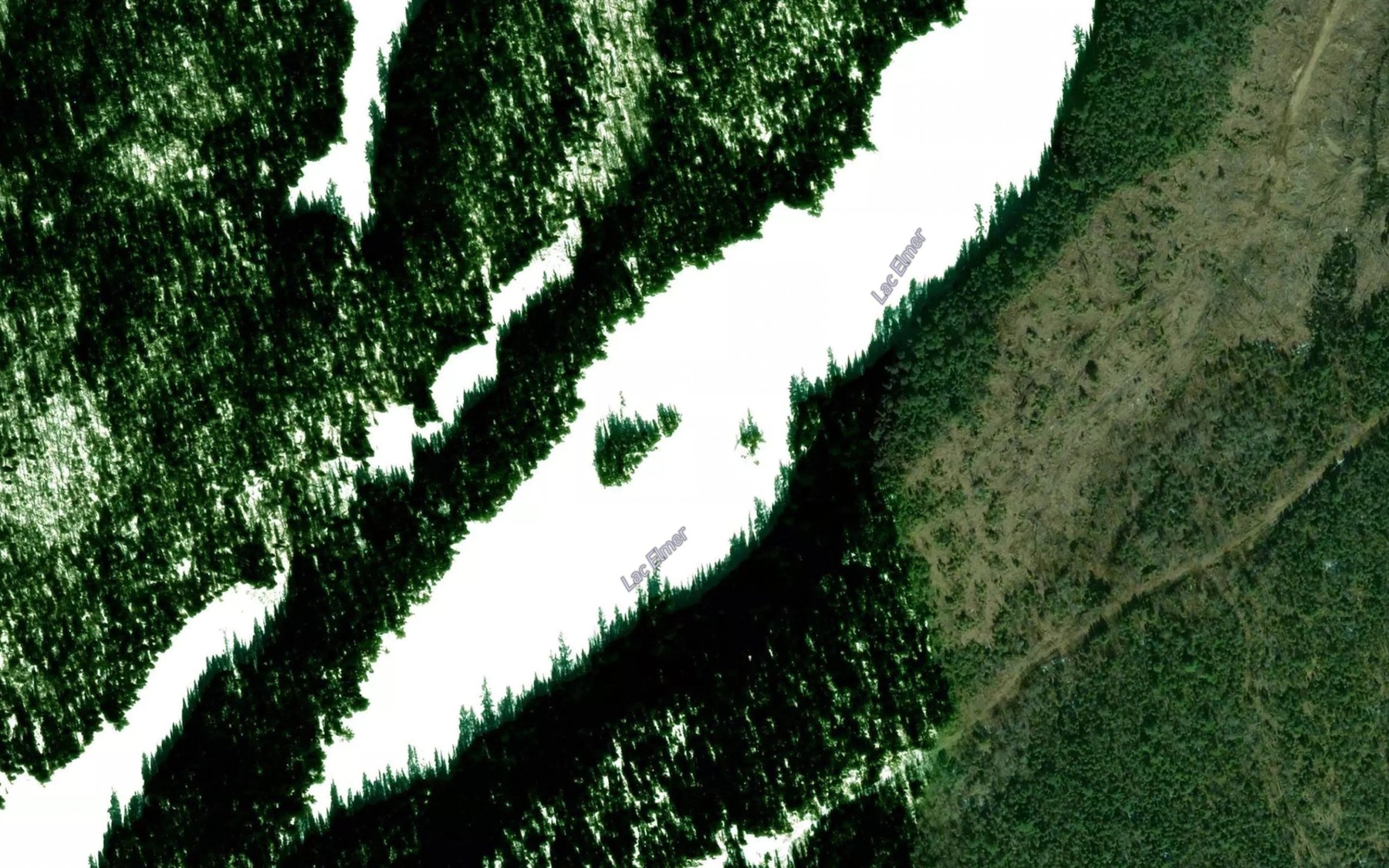 Satellite map of the Lac Elmer