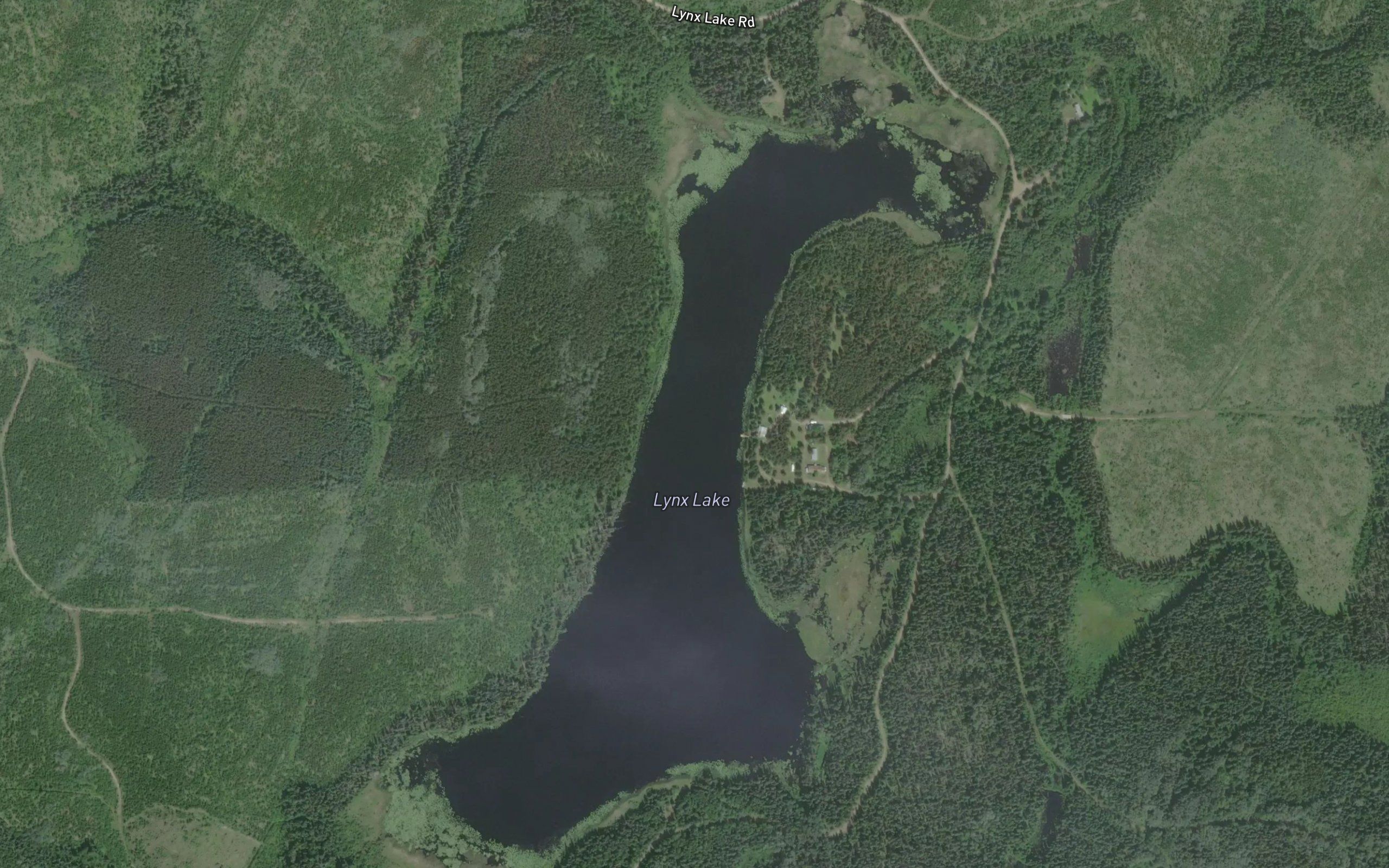 Lynx Lake
