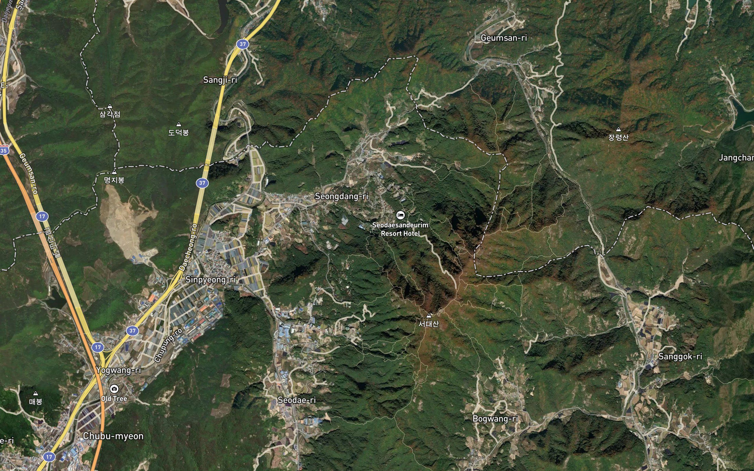 Hapokpo