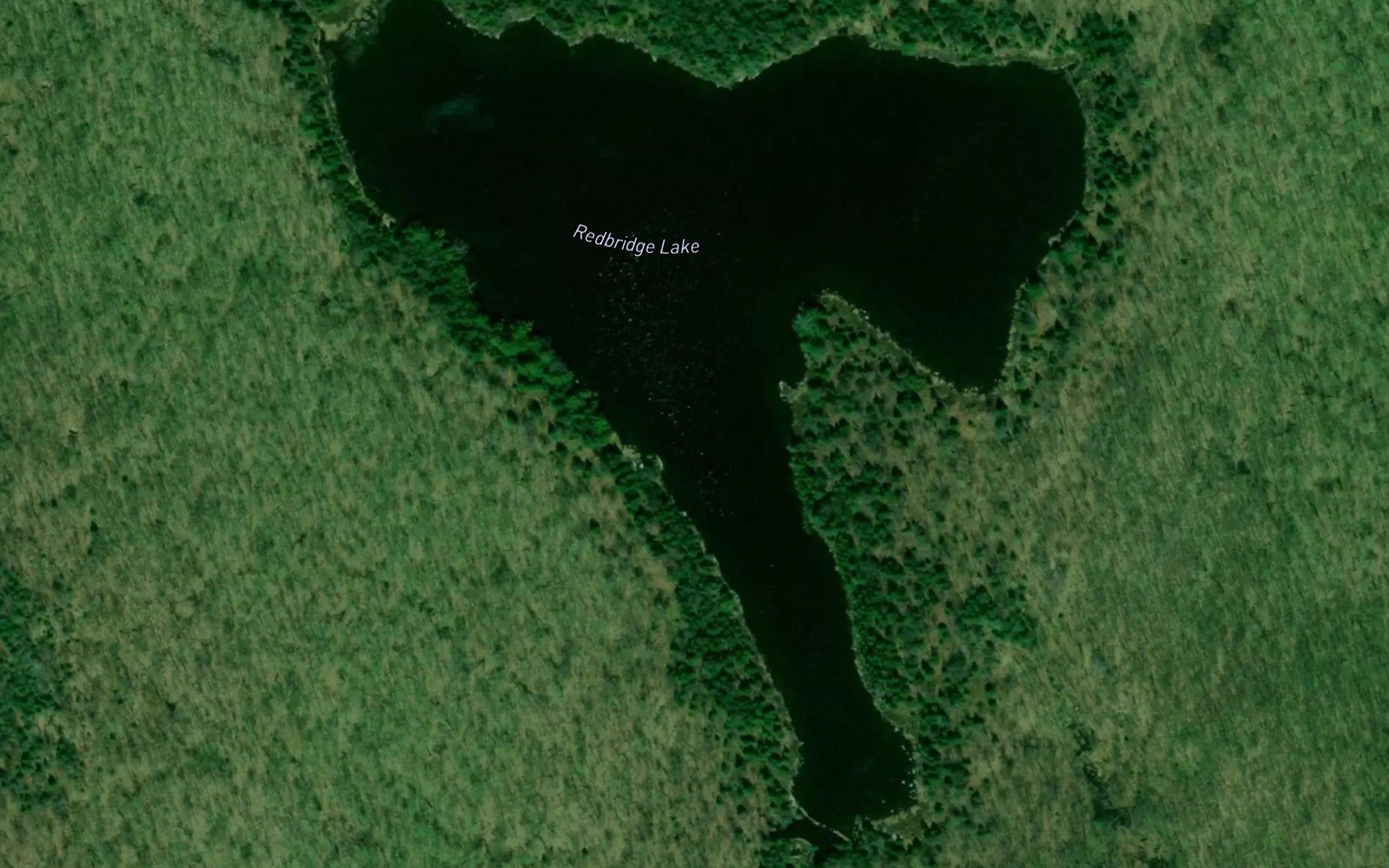 Redbridge Lake