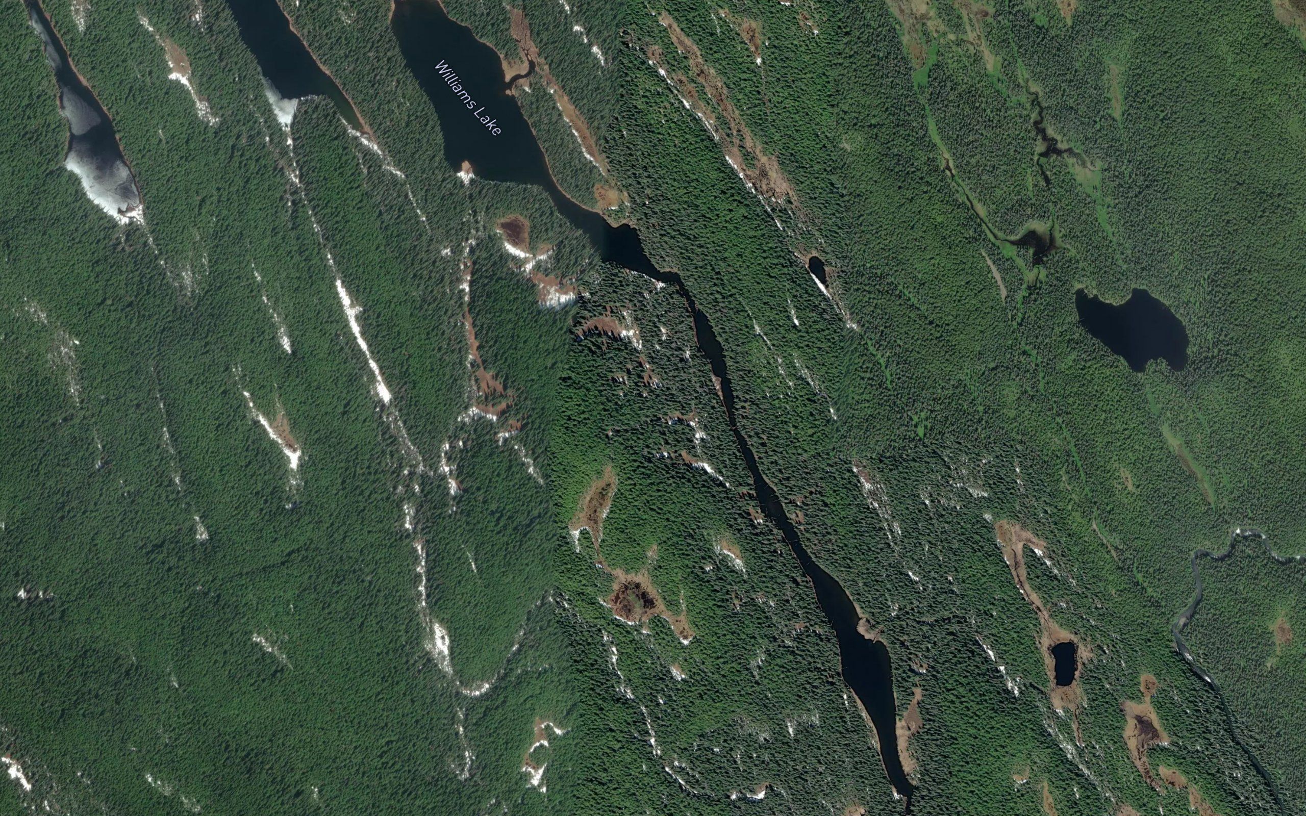 Williams Lake
