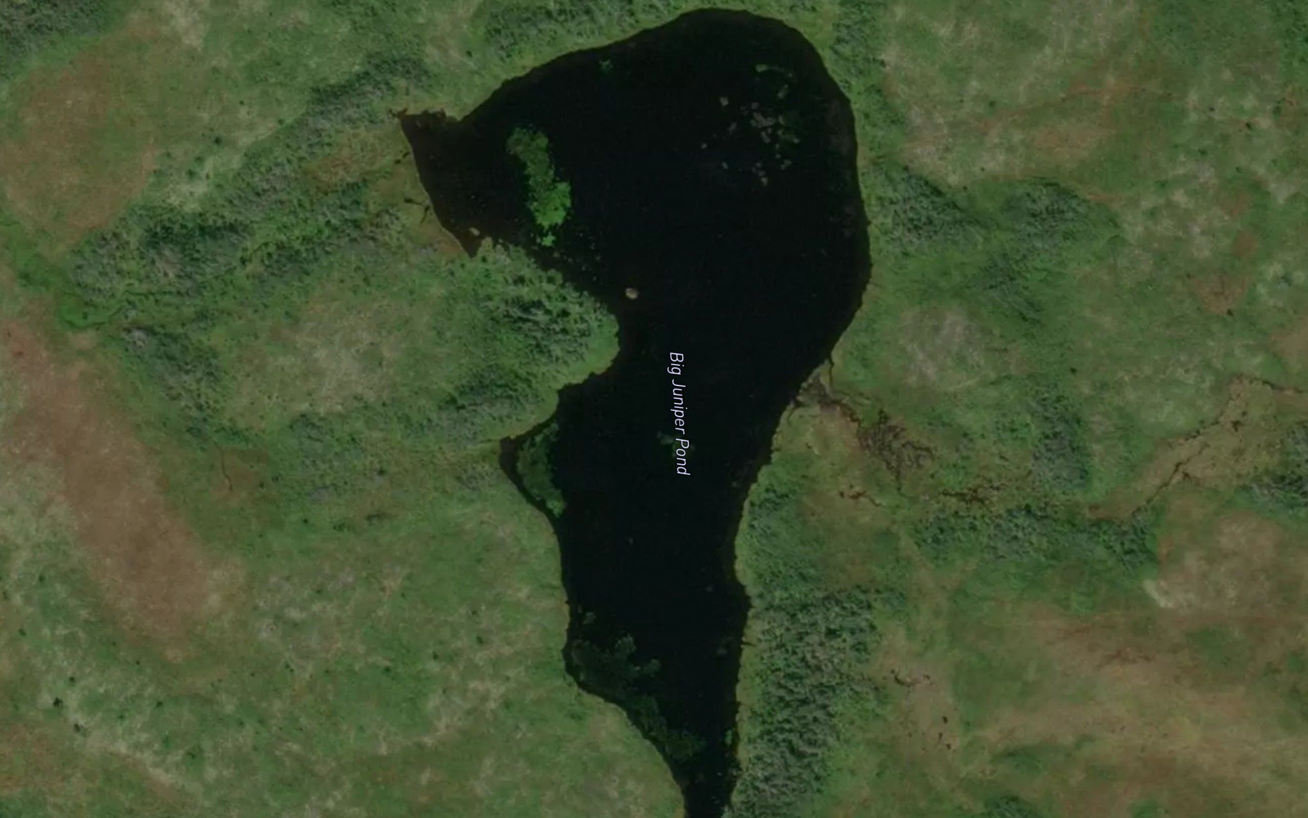 Big Juniper Pond