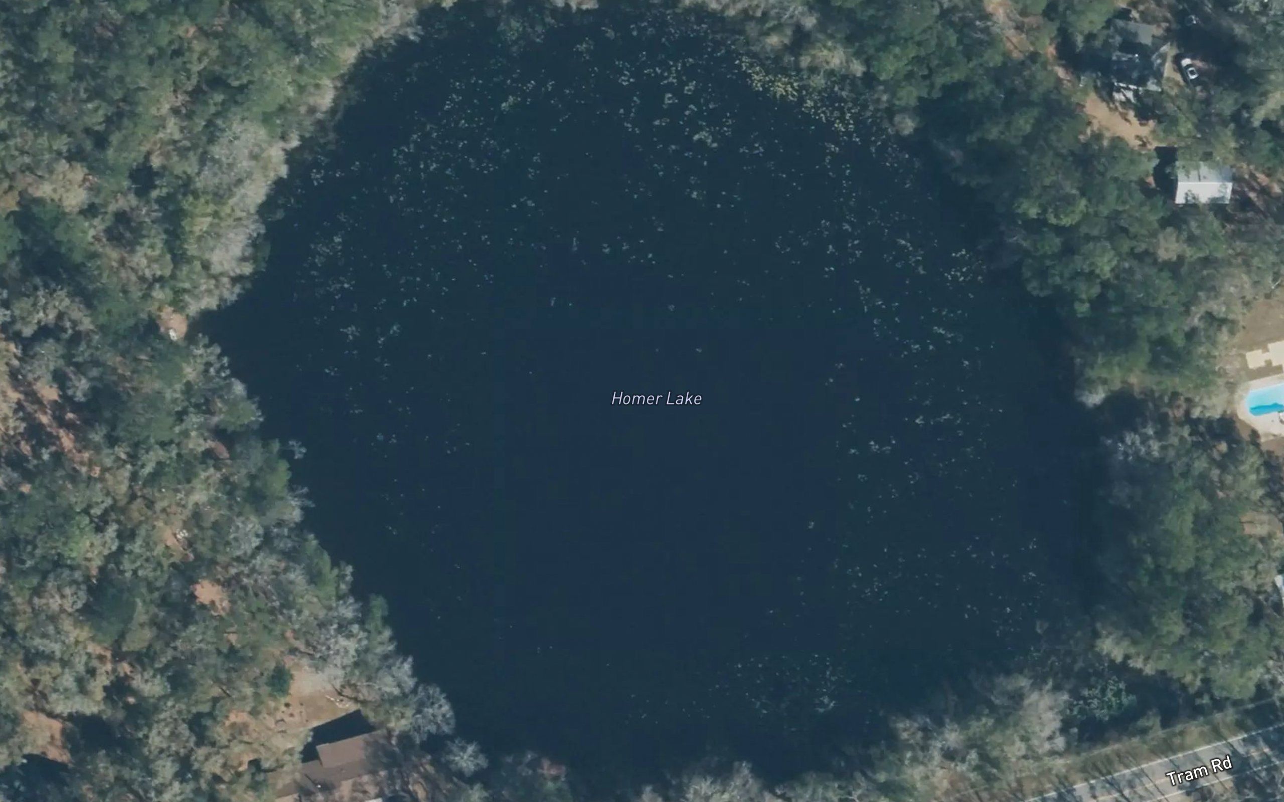Homer Lake