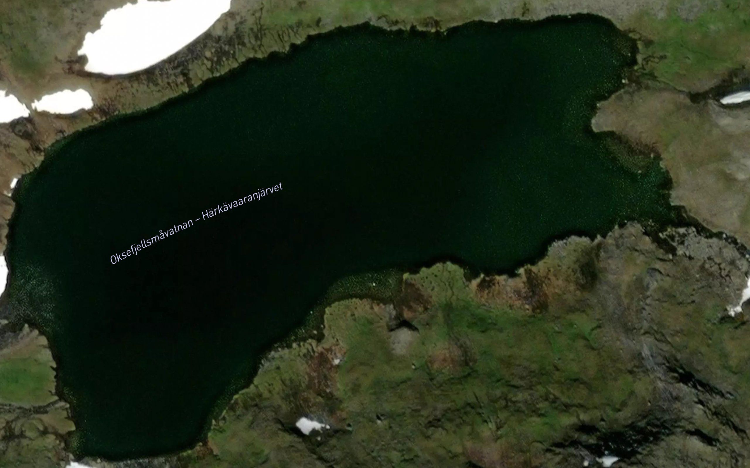 Oksefjellsmavatnan