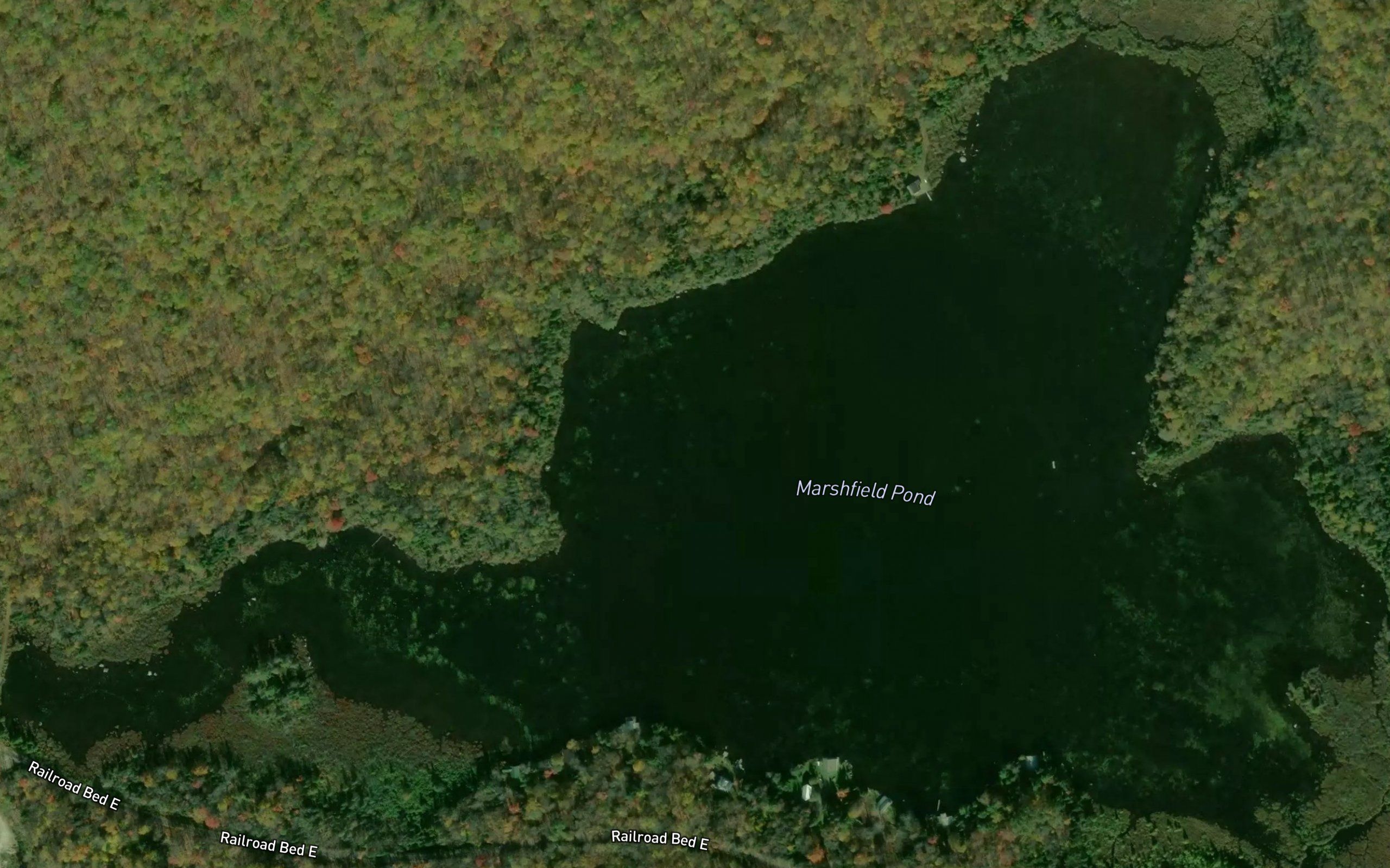 Turtlehead Pond