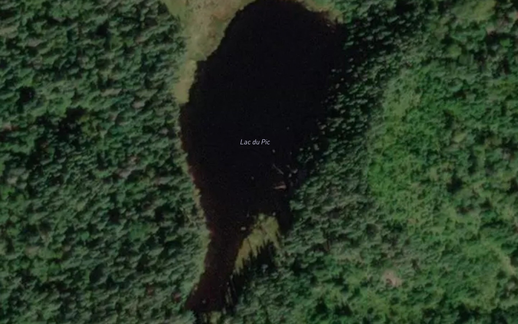 Satellite map of the Lac du Pic