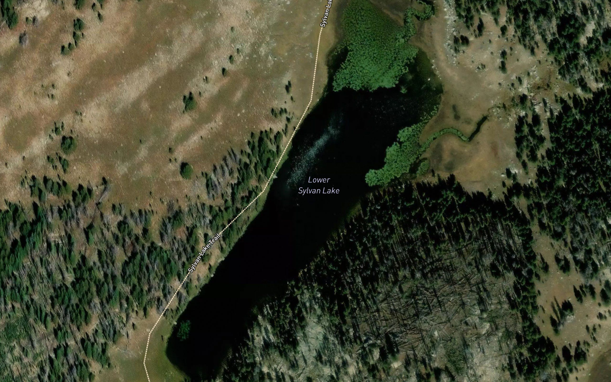 Lower Sylvan Lake
