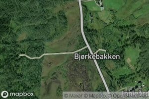 Henrikelva