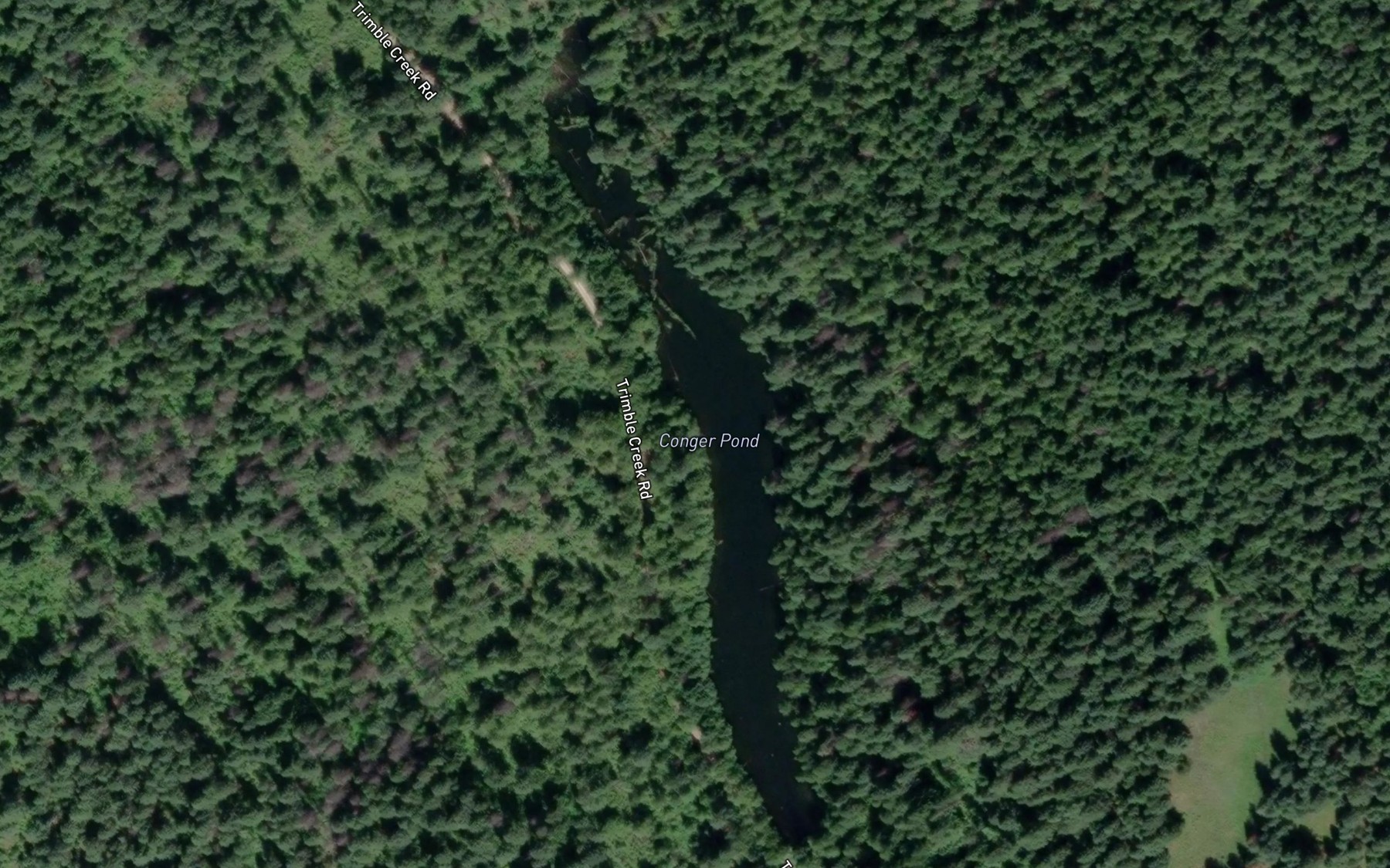 Satellite map of the Conger Pond