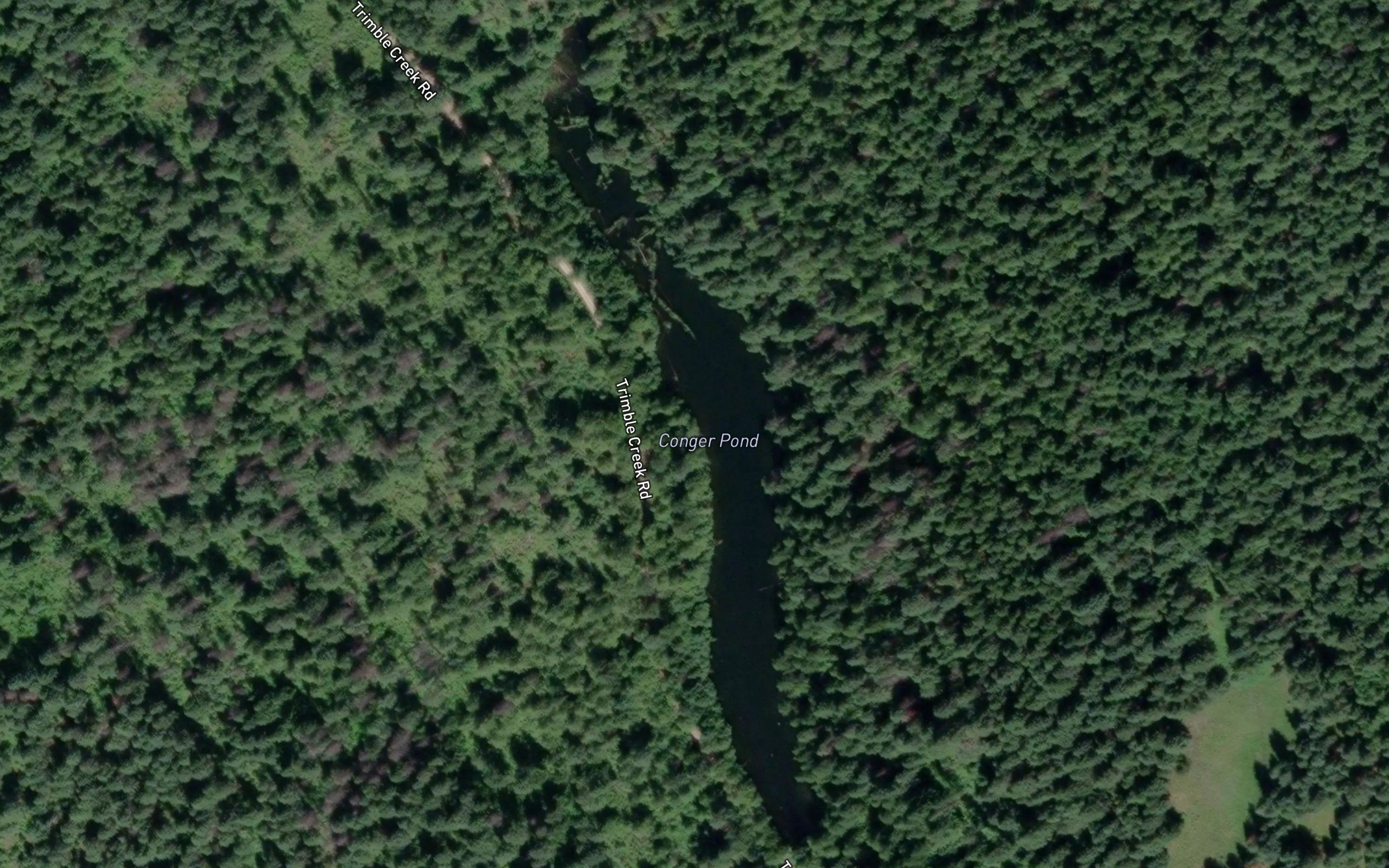 Conger Pond