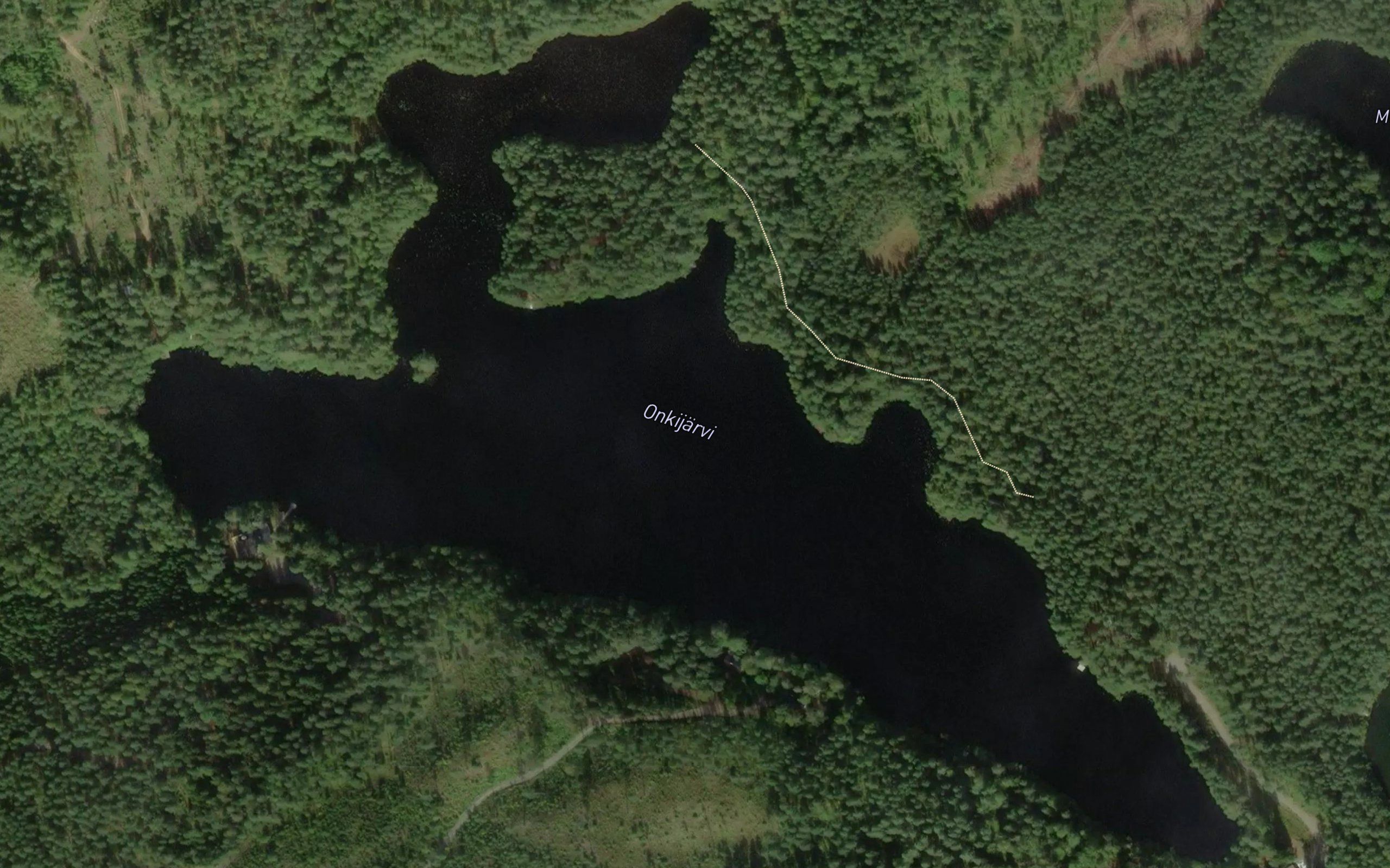 Onkijaervi