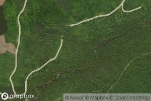 Mink Brook