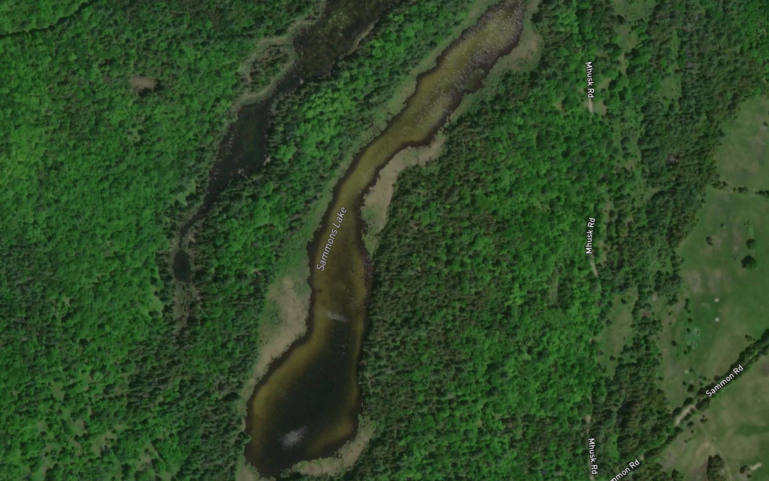Sammons Lake