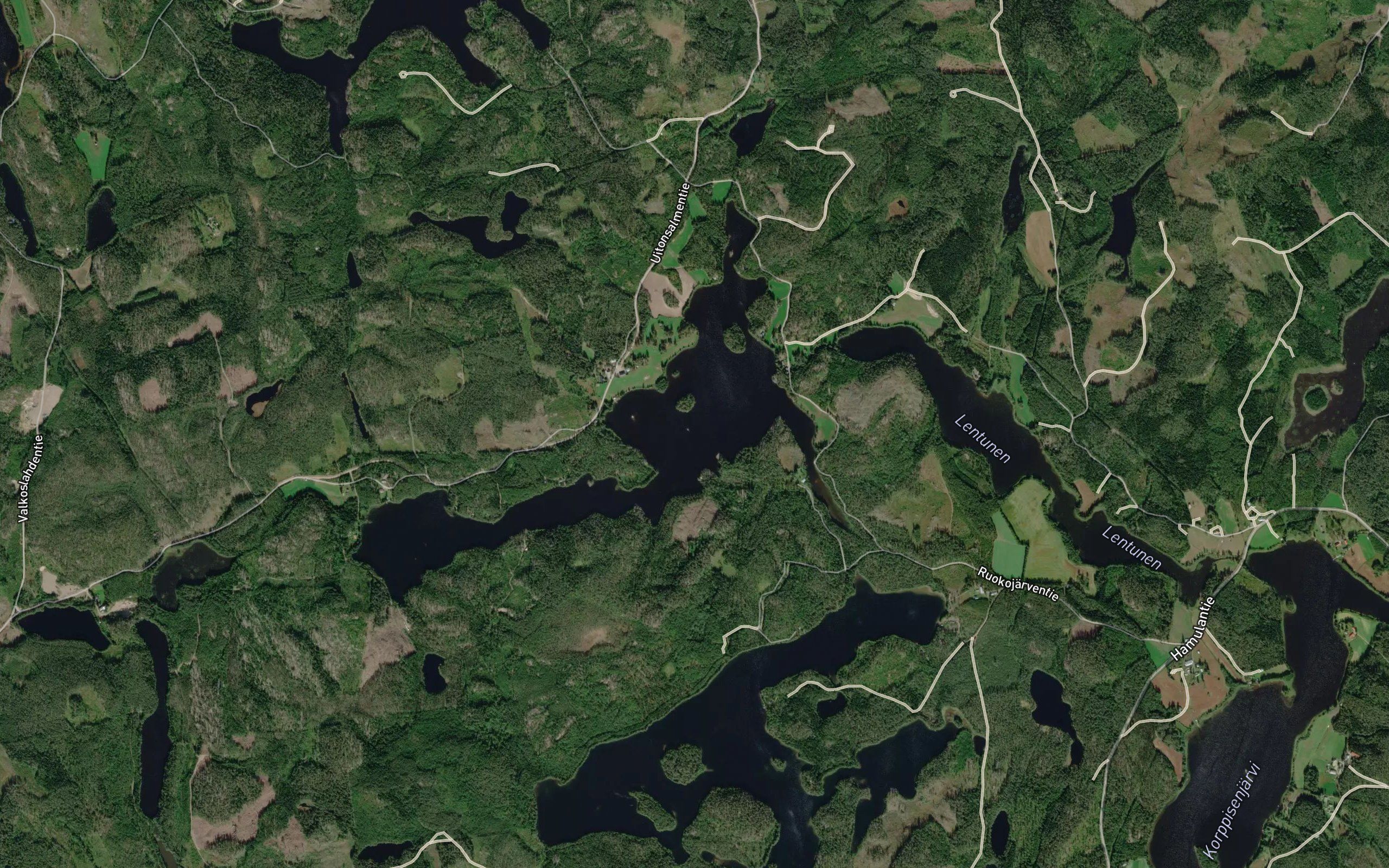 Sarkanen