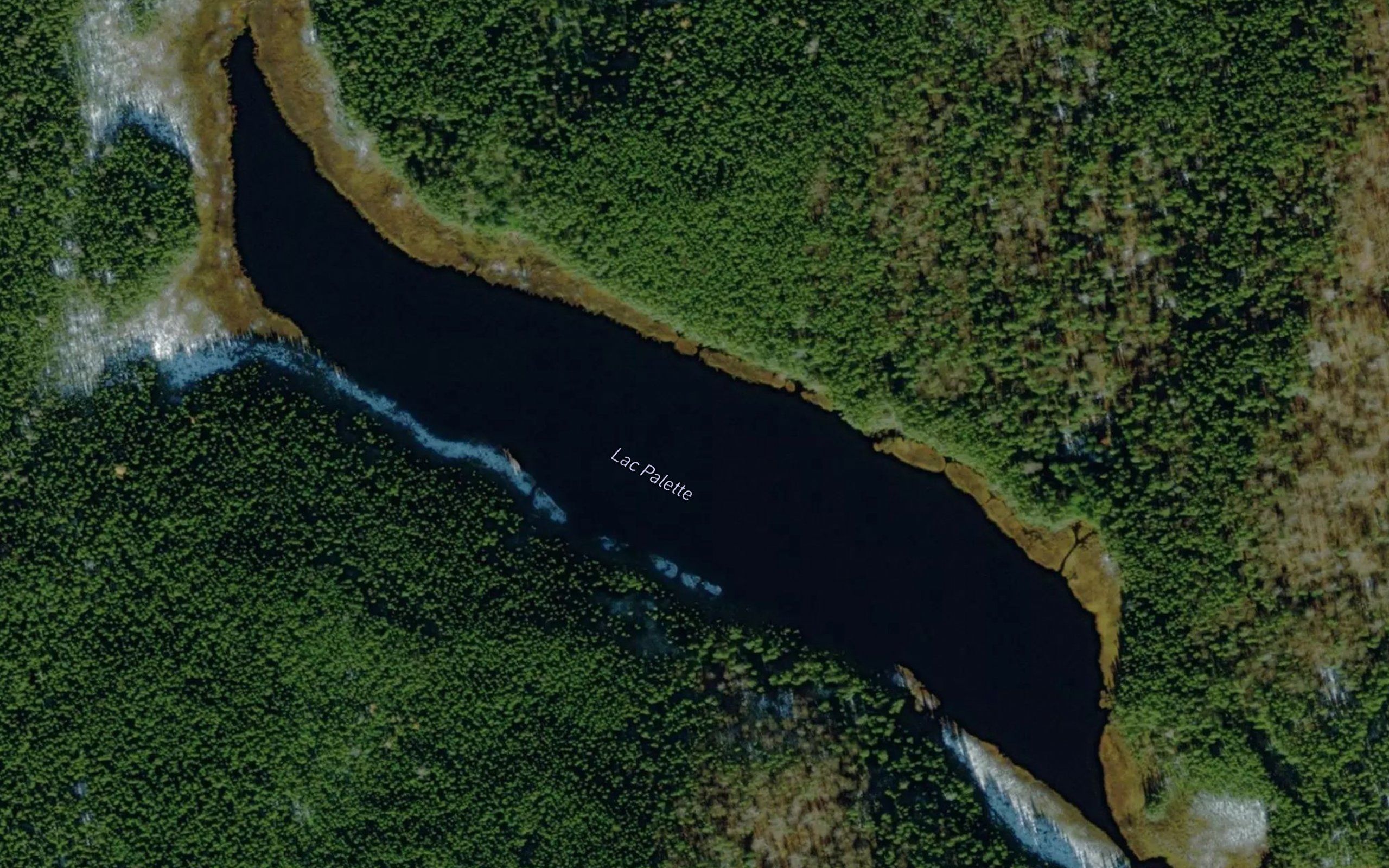 Lac Palette