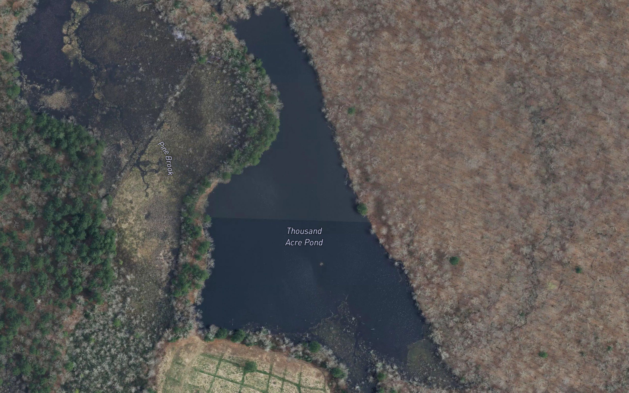 Thousand Acre Pond