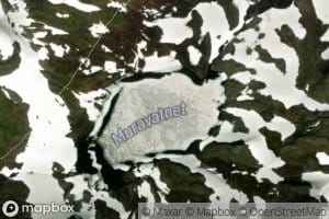 Muravatnet