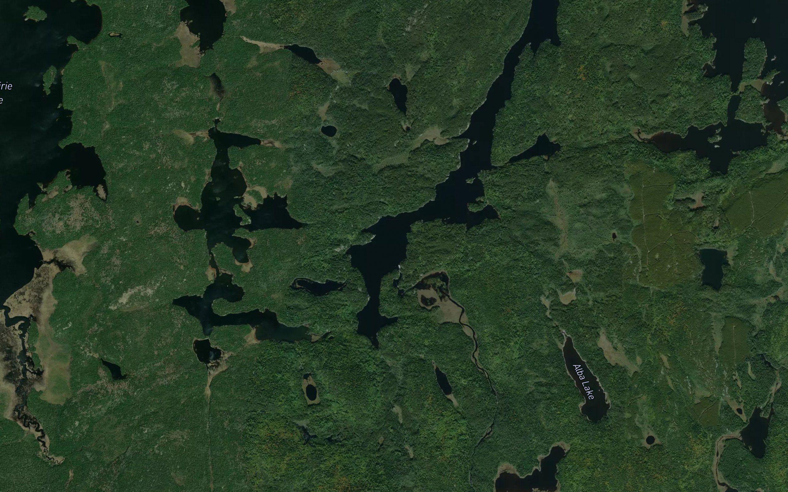 Grazing River
