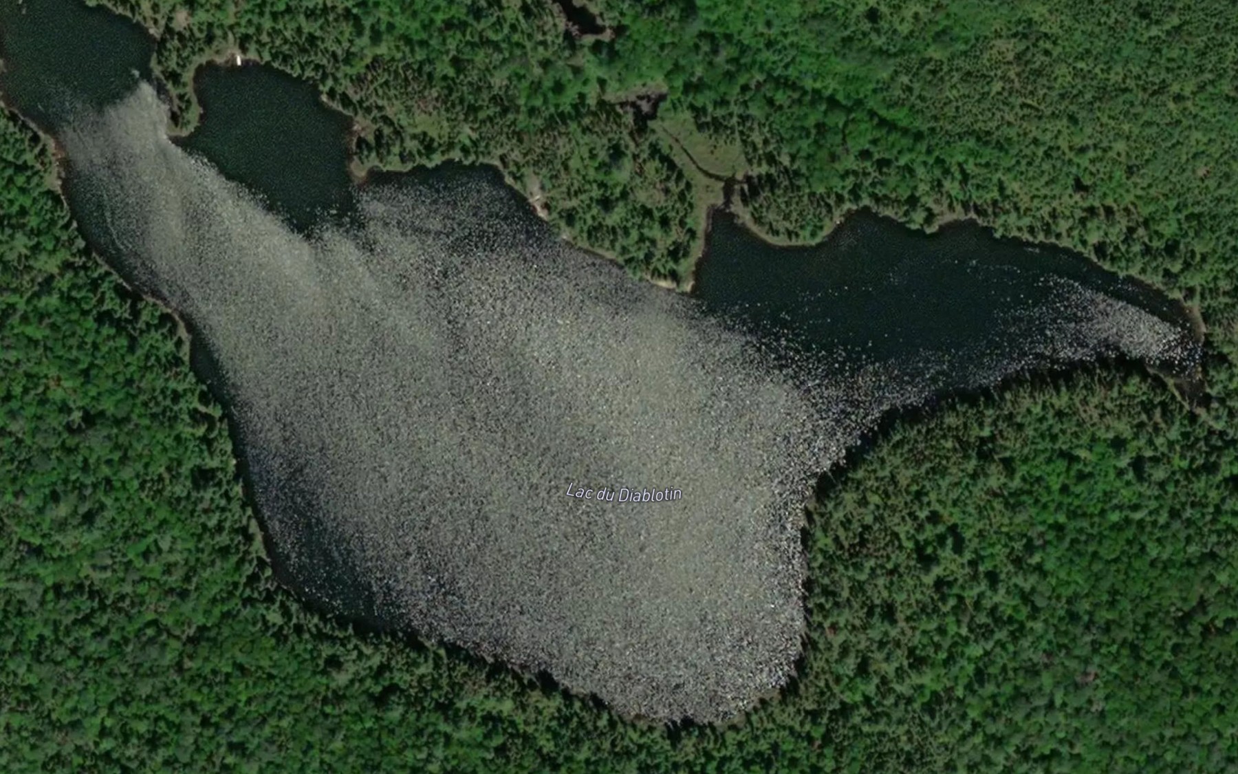 Satellite map of the Lac du Diablotin