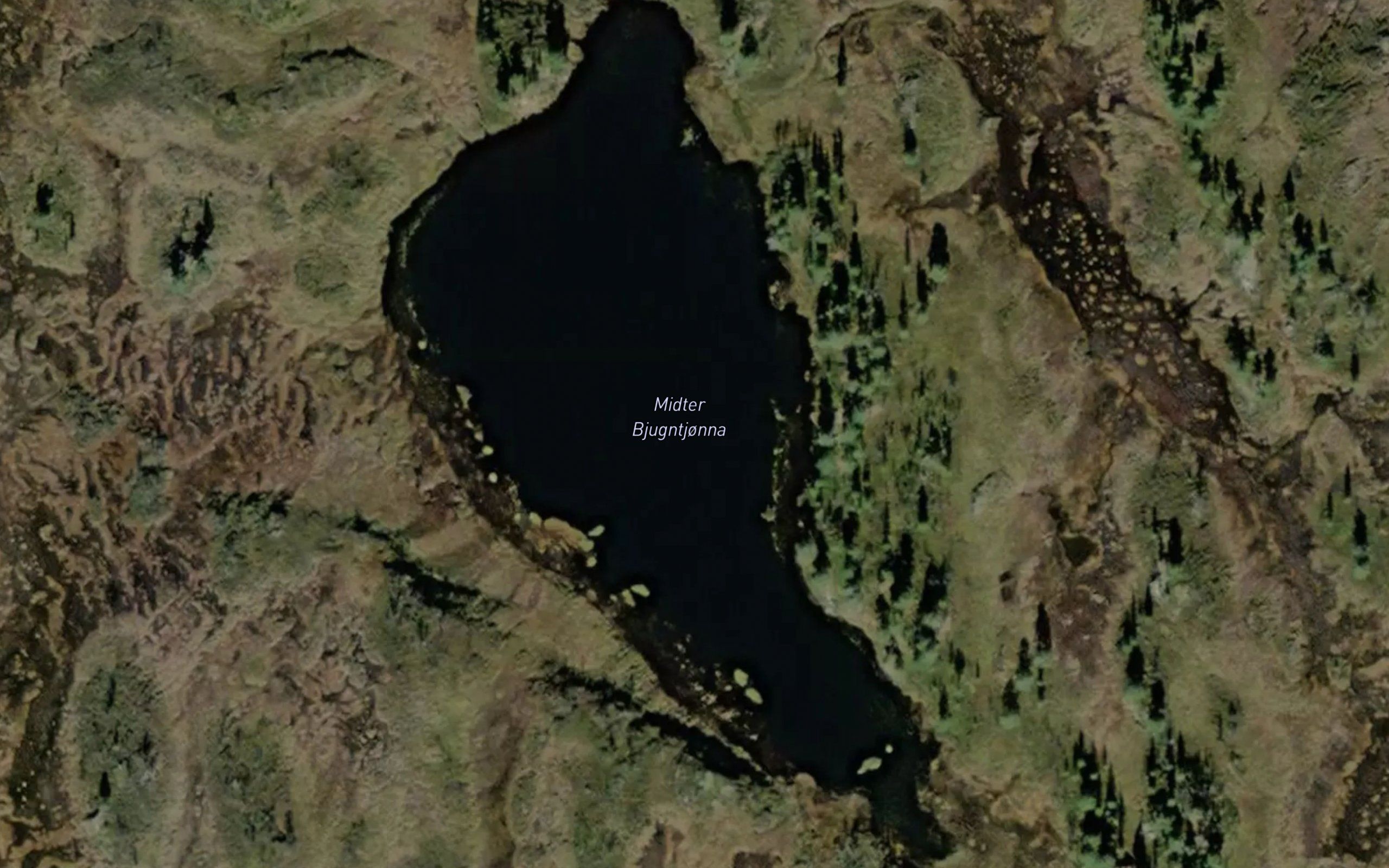 Midter Bjugntjonna