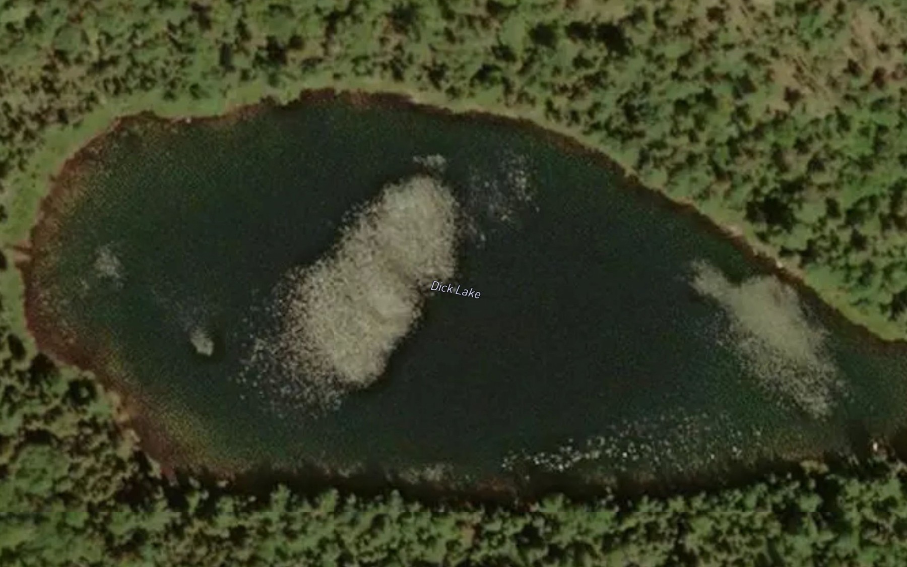 Satellite map of the Dick Lake