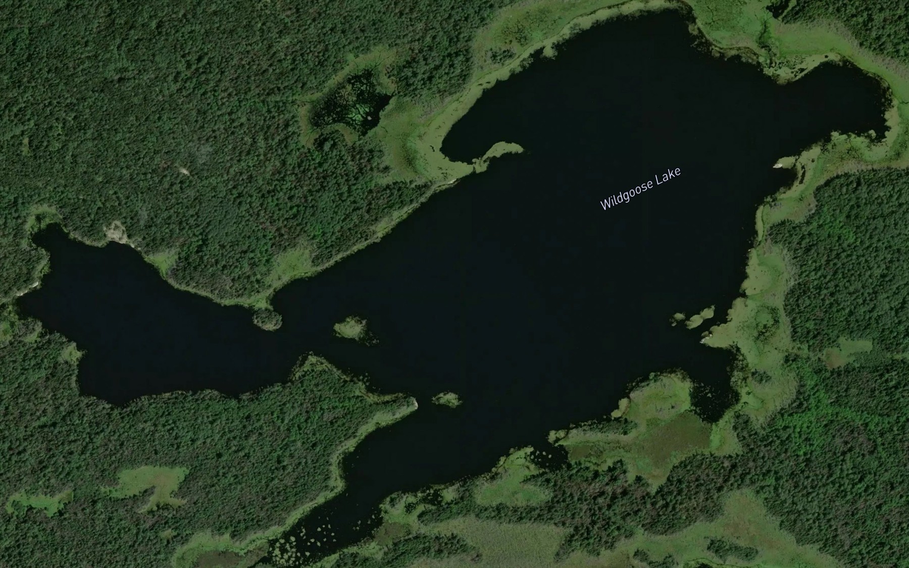 Satellite map of the Wildgoose Lake