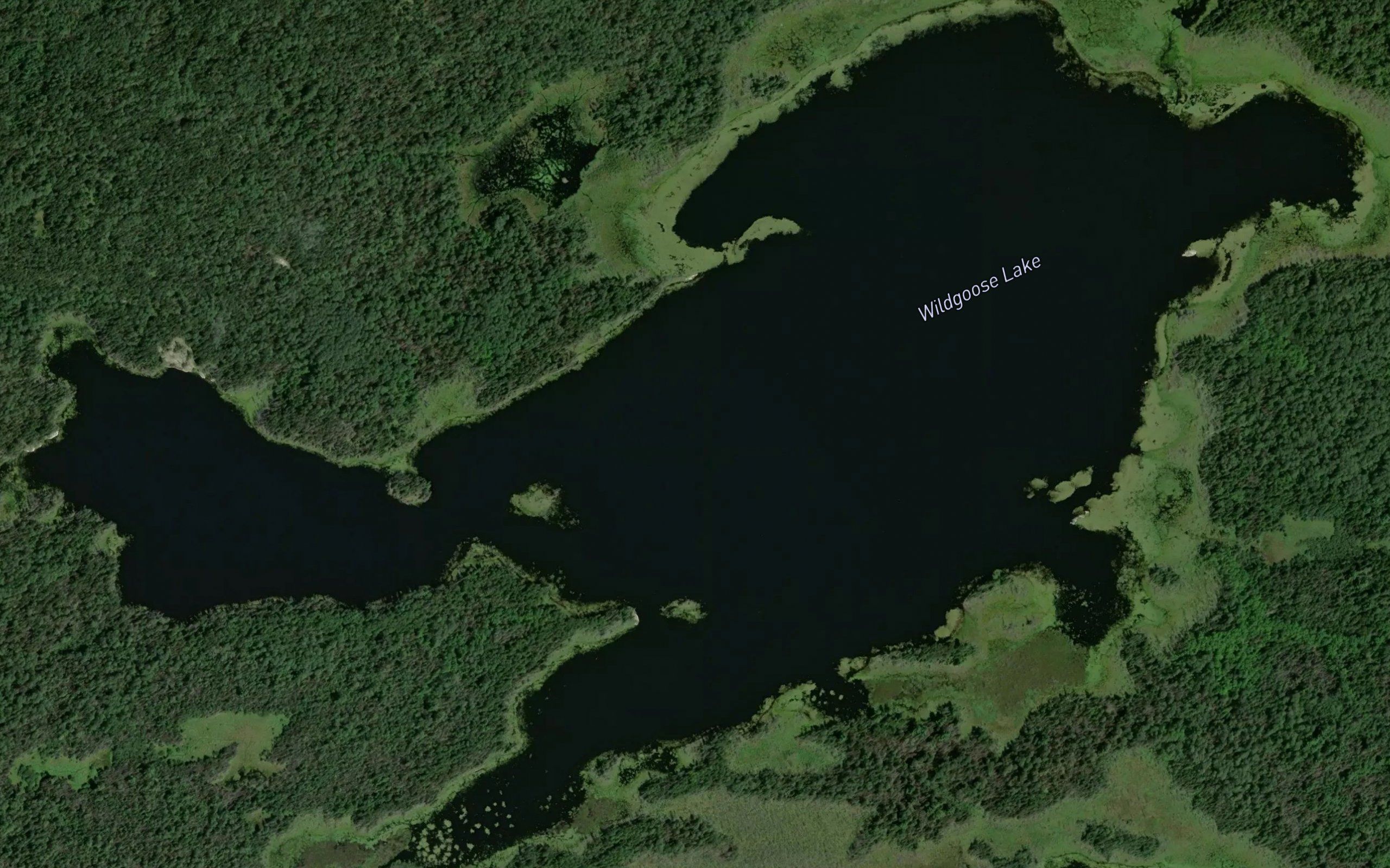 Wildgoose Lake