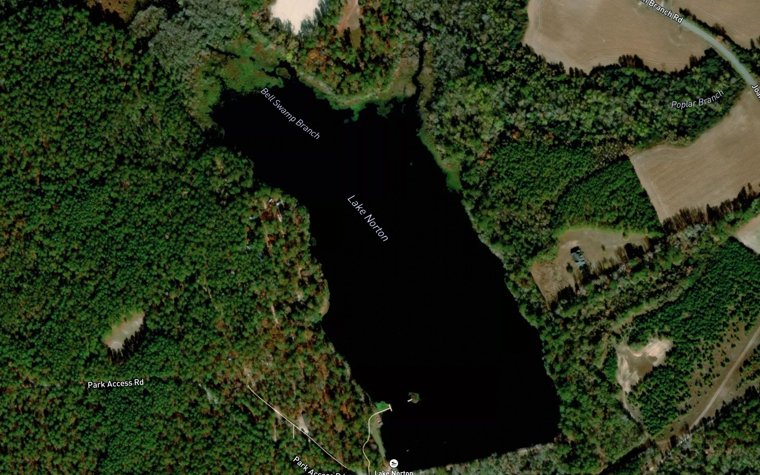 Pee Dee State Park Lake