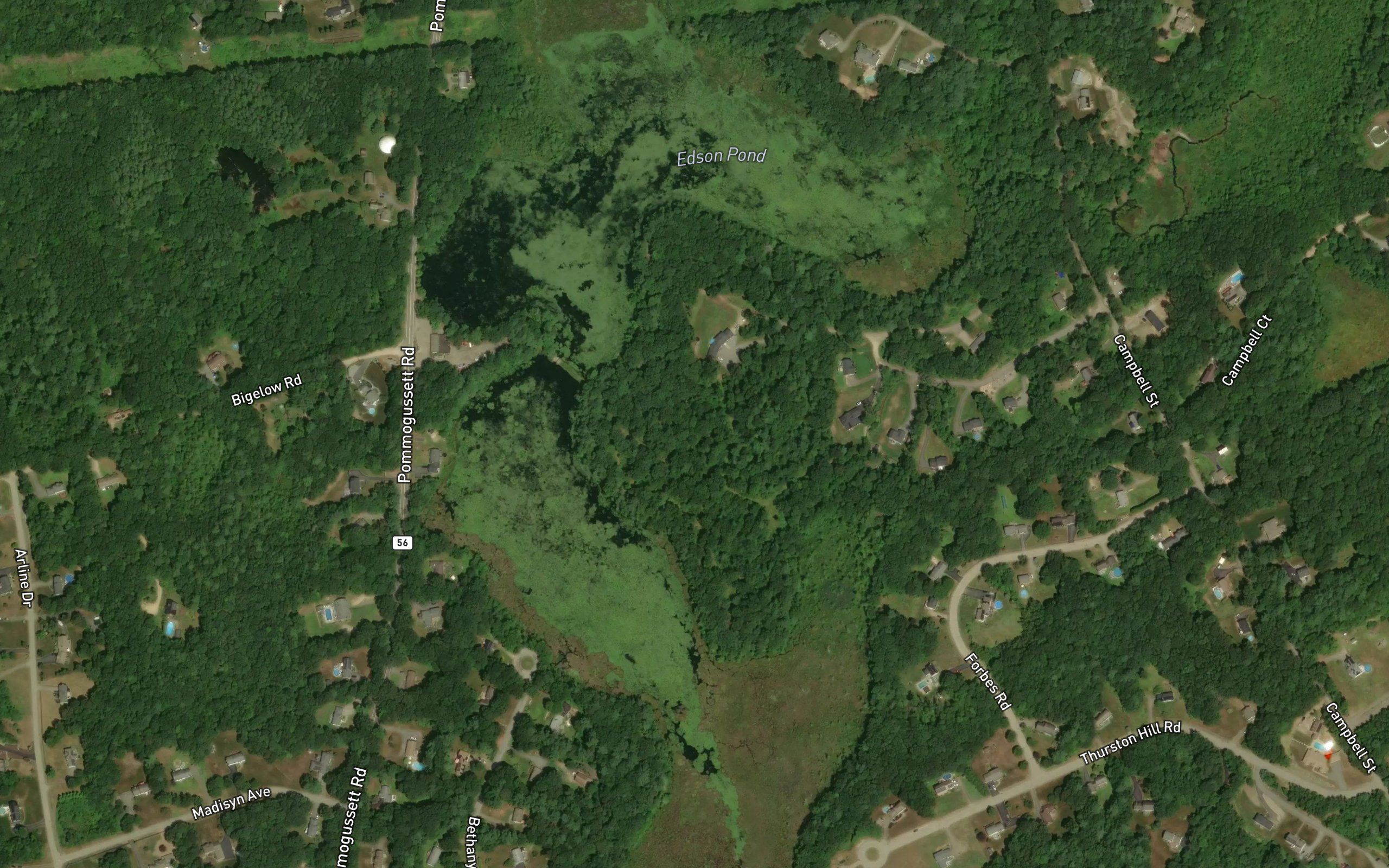 Edson Pond