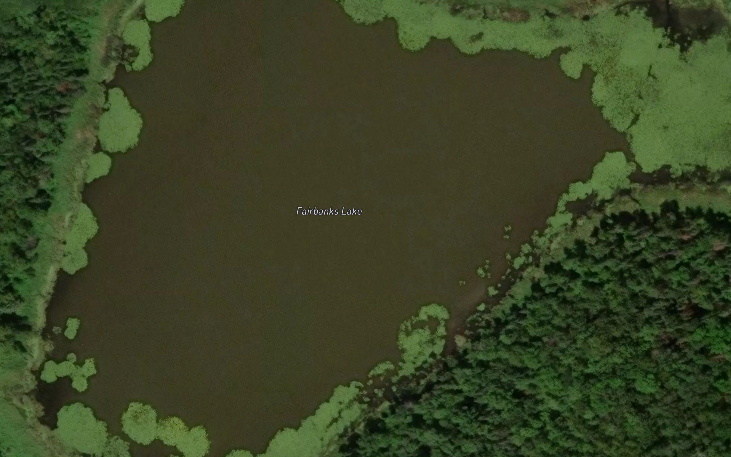 Fairbanks Lake