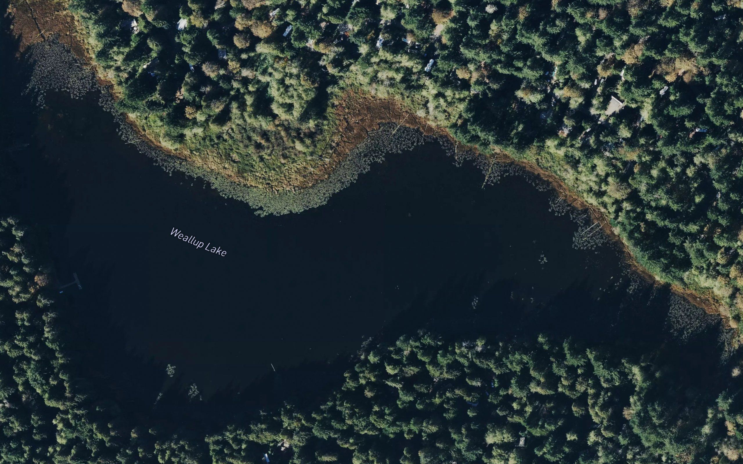 Weallup Lake