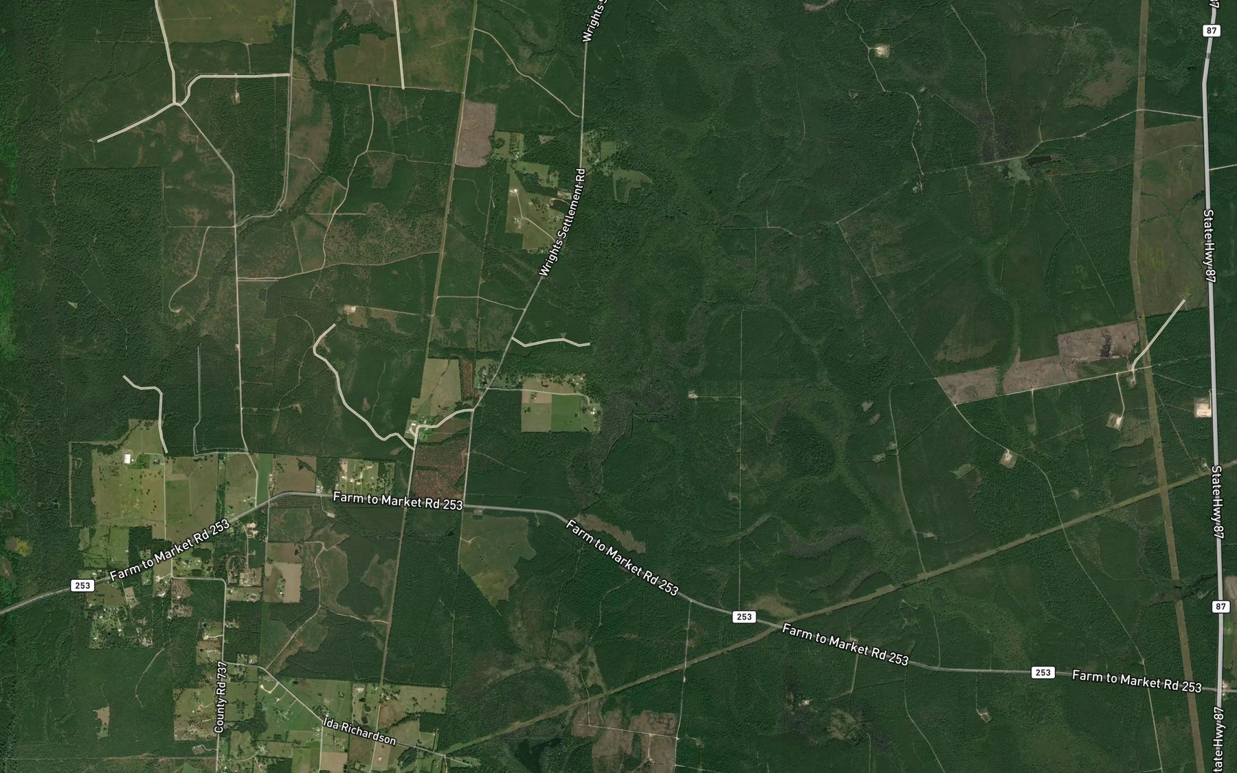 Satellite map of the Big Branch
