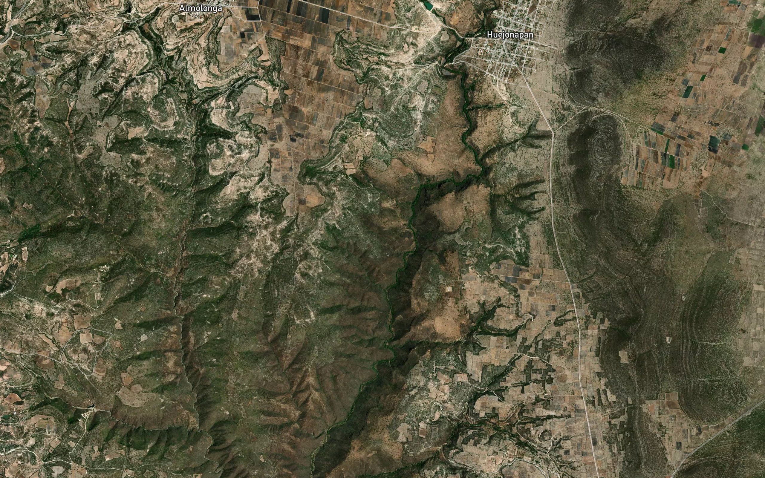 Palo Blanco