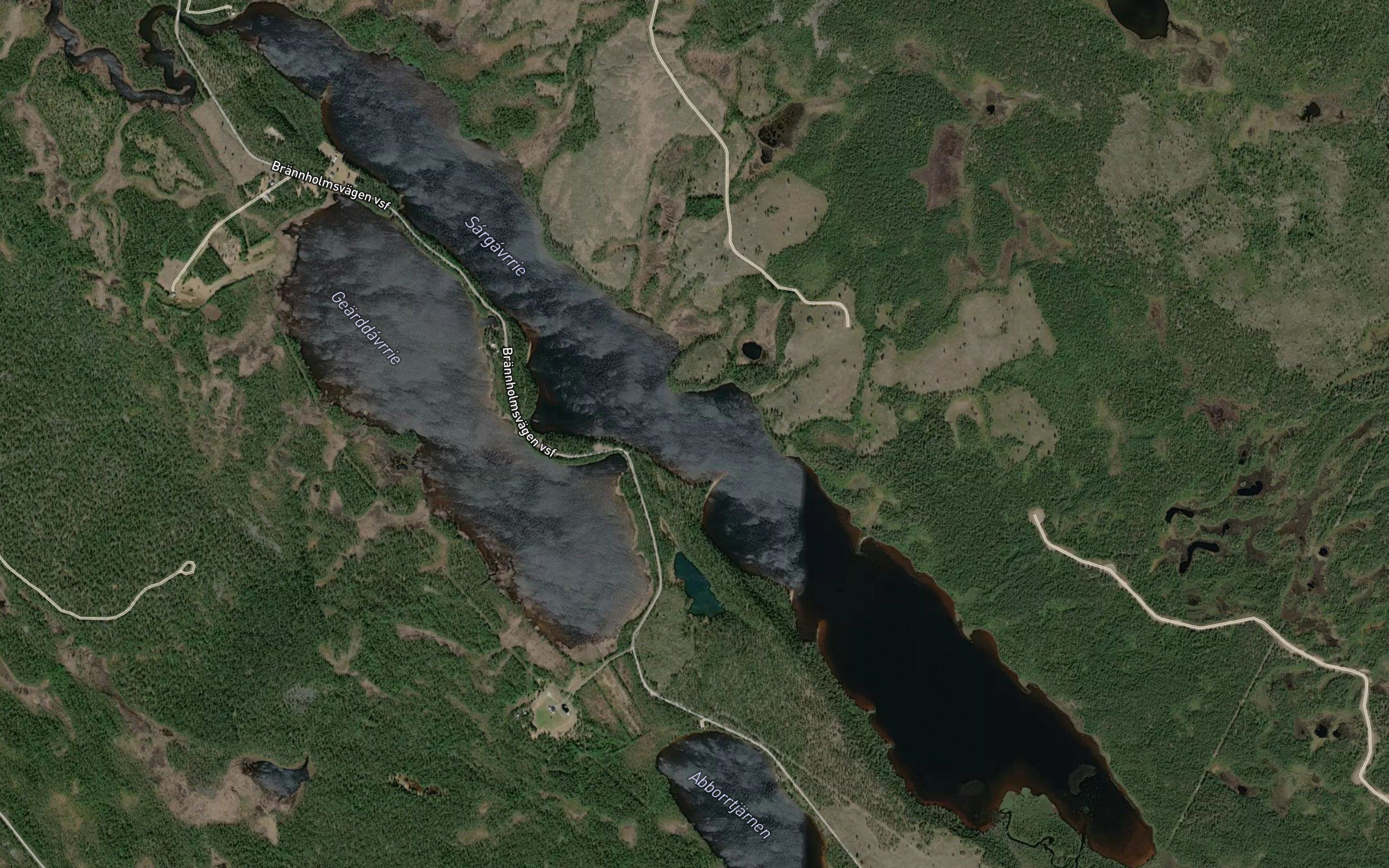 Sarkaure