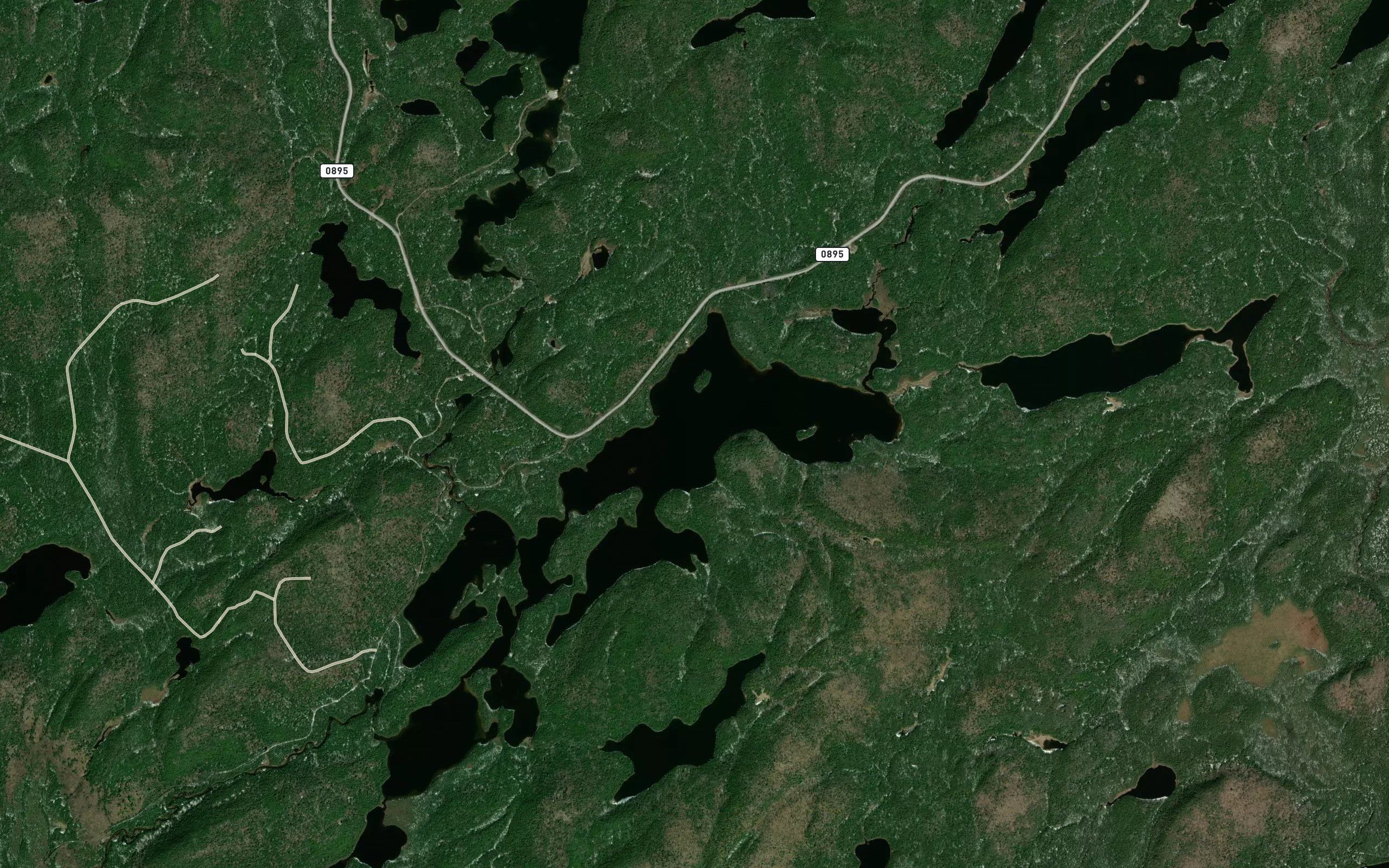 Lac Byng