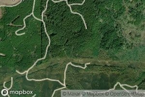 Doodle Creek