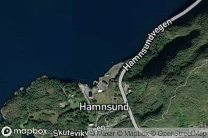Svinvika