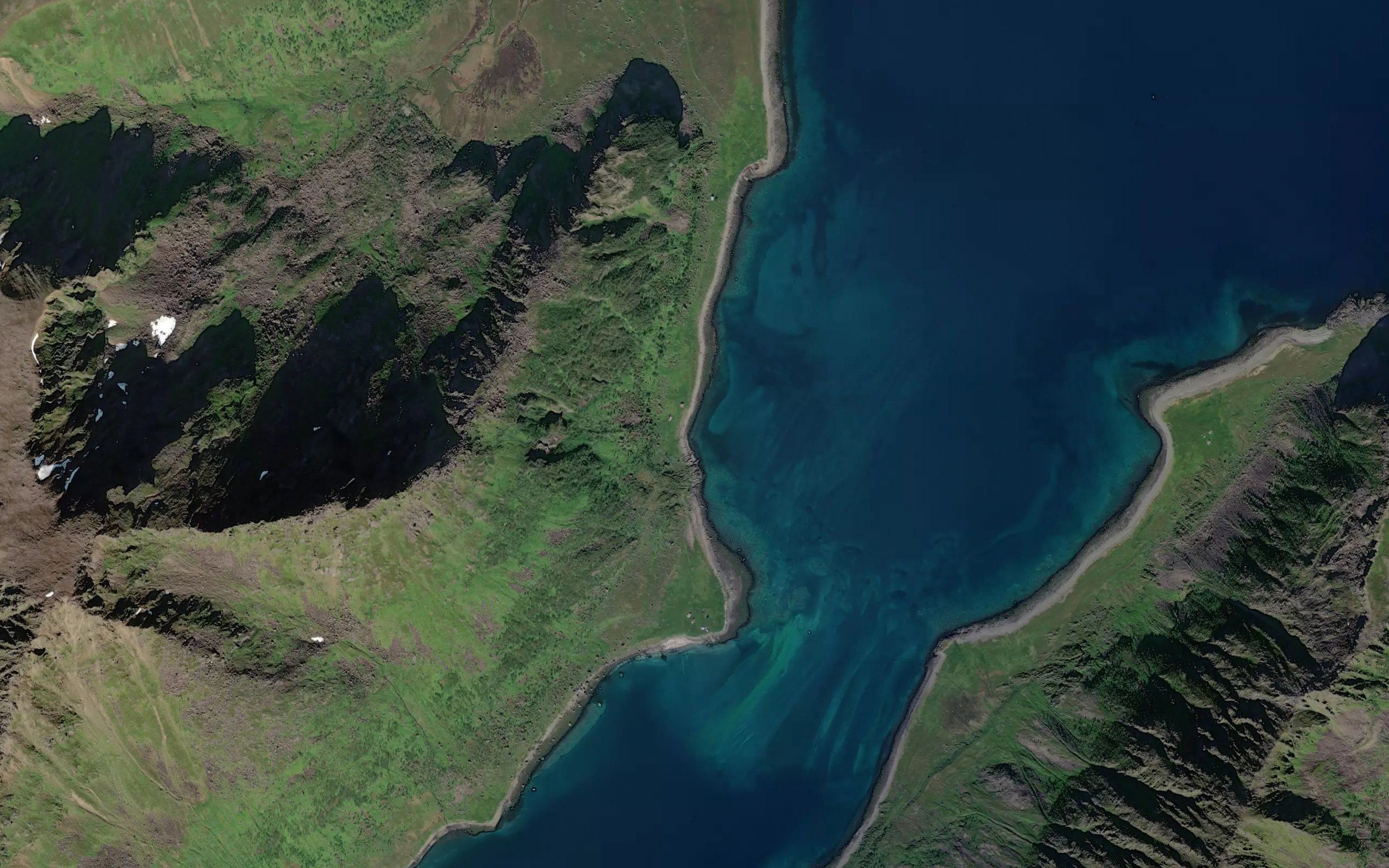Eddisbukta