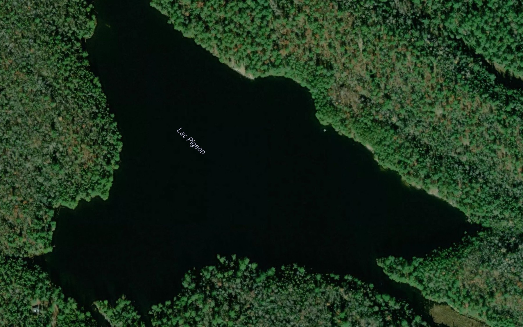 Satellite map of the Lac Pigeon