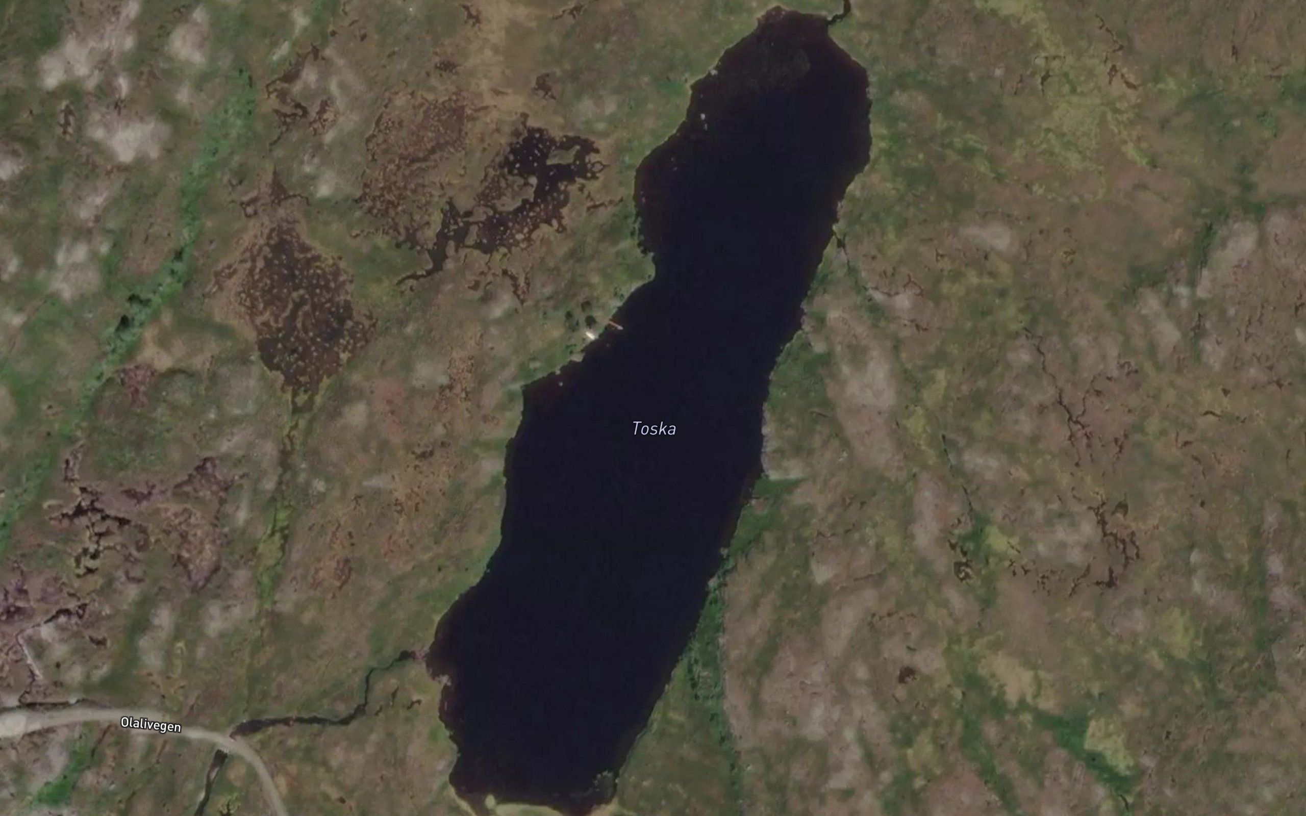 Toska