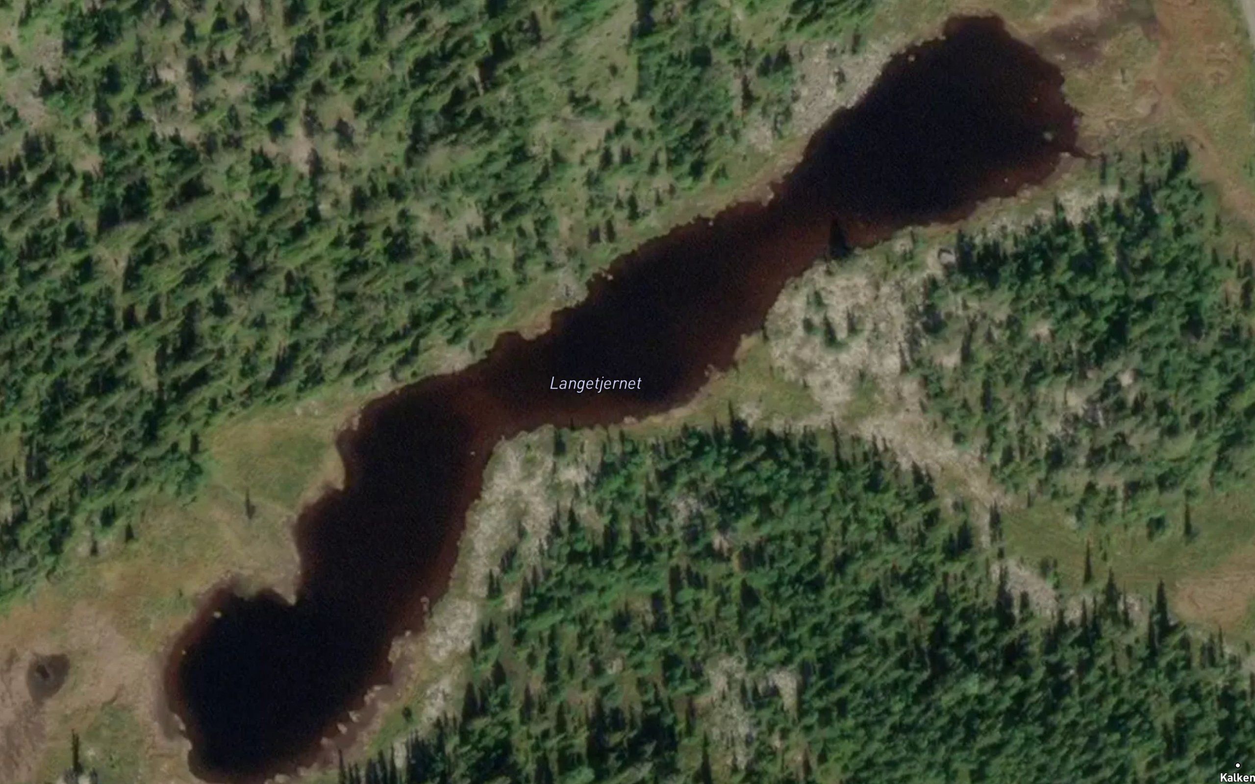 Langetjernet