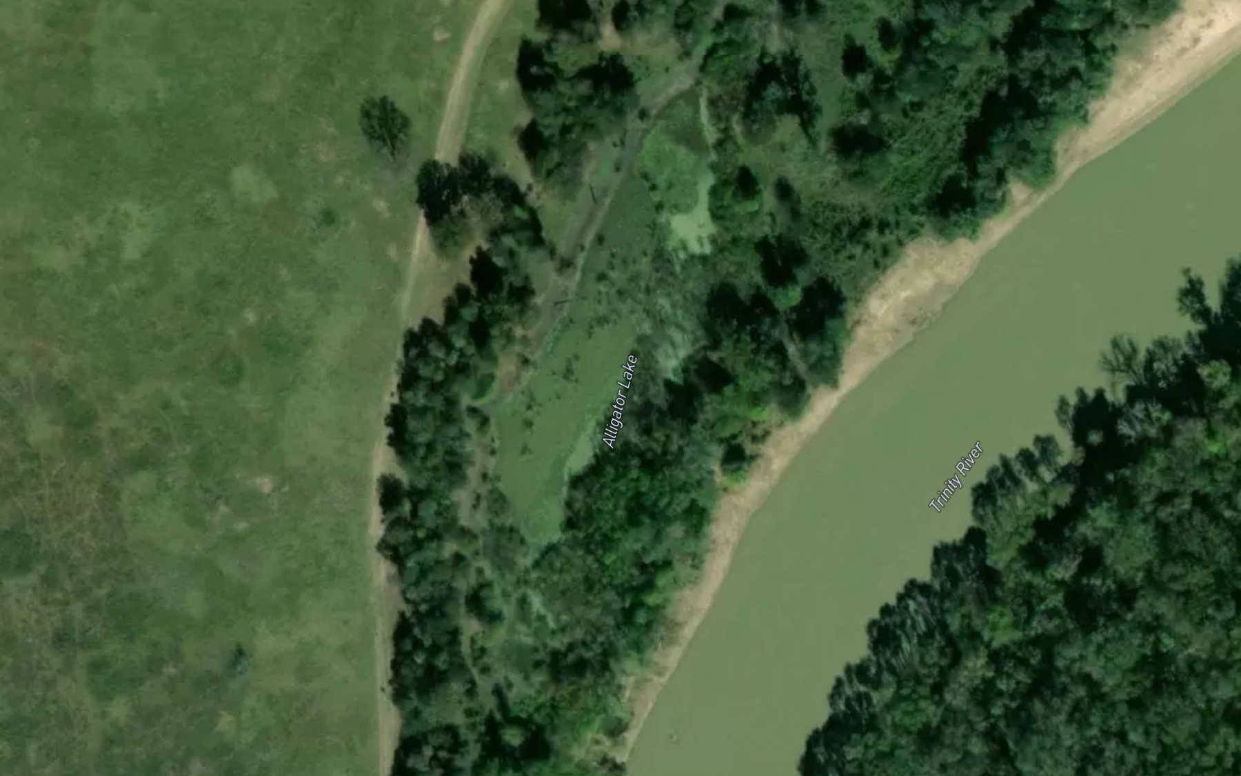 Satellite map of the Alligator Lake