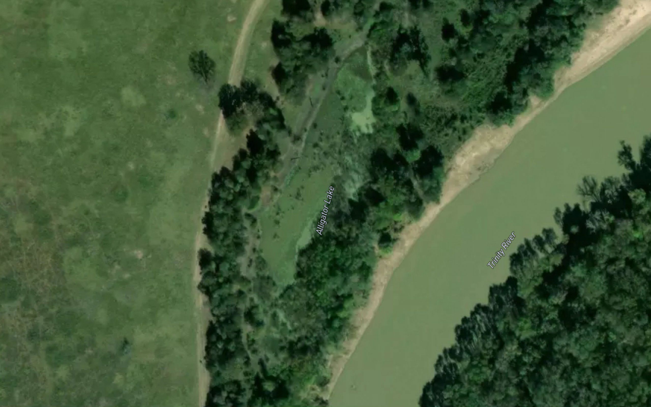 Alligator Lake