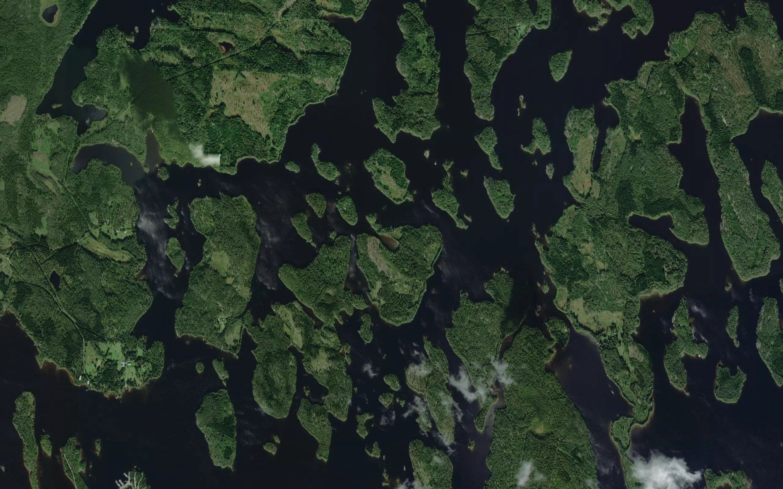 Purinlahti