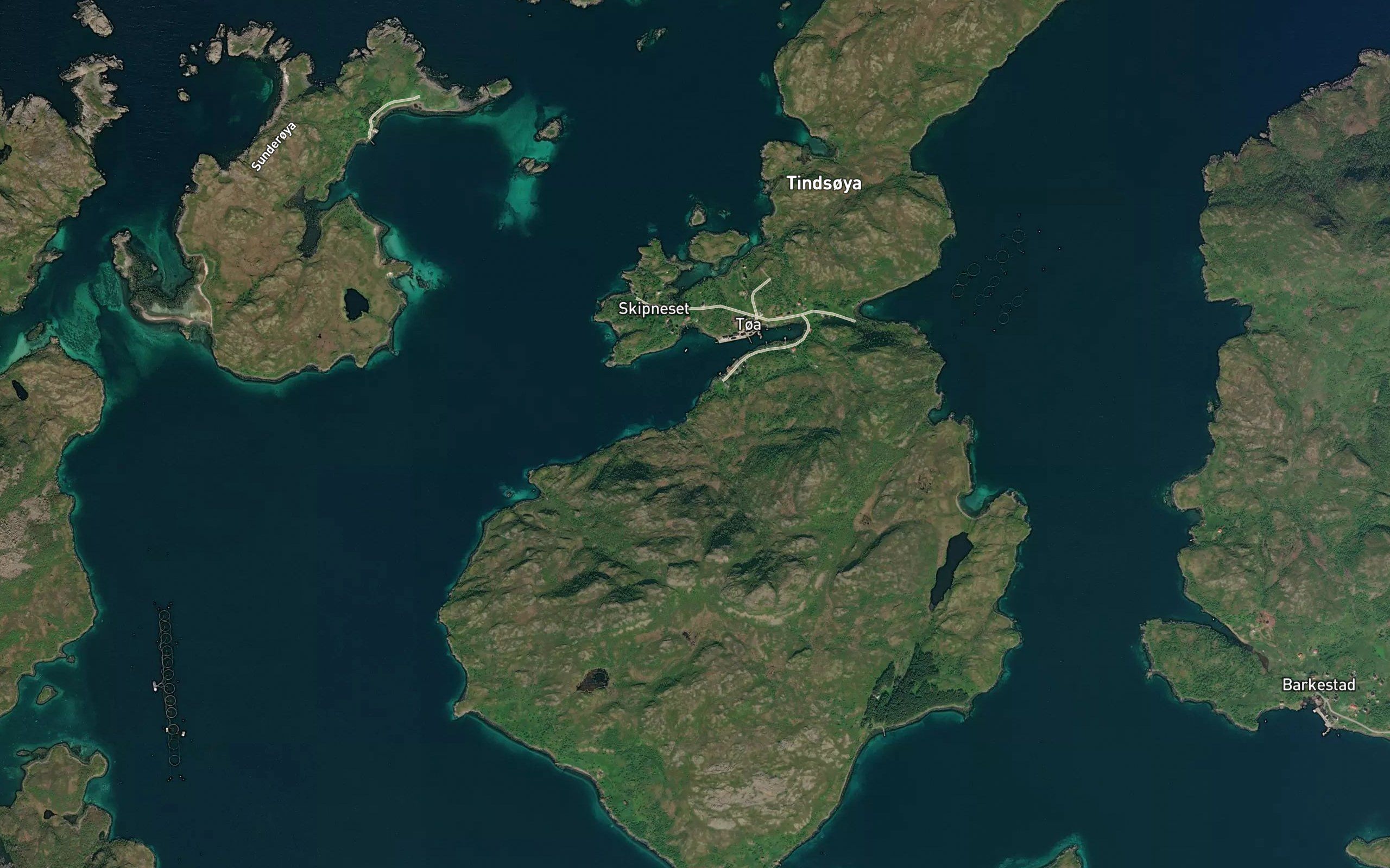 Trollkonelva