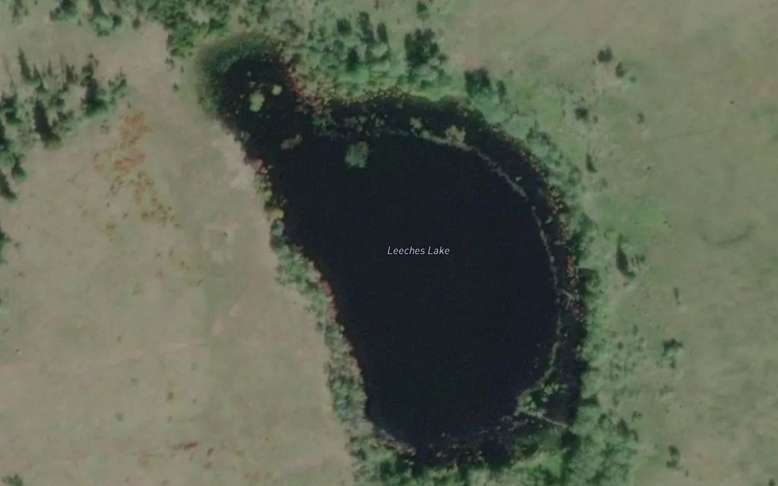 Leeches Lake
