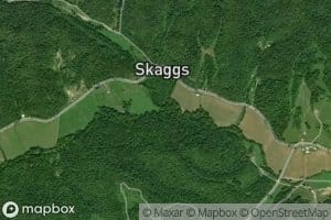 Sugartree Branch